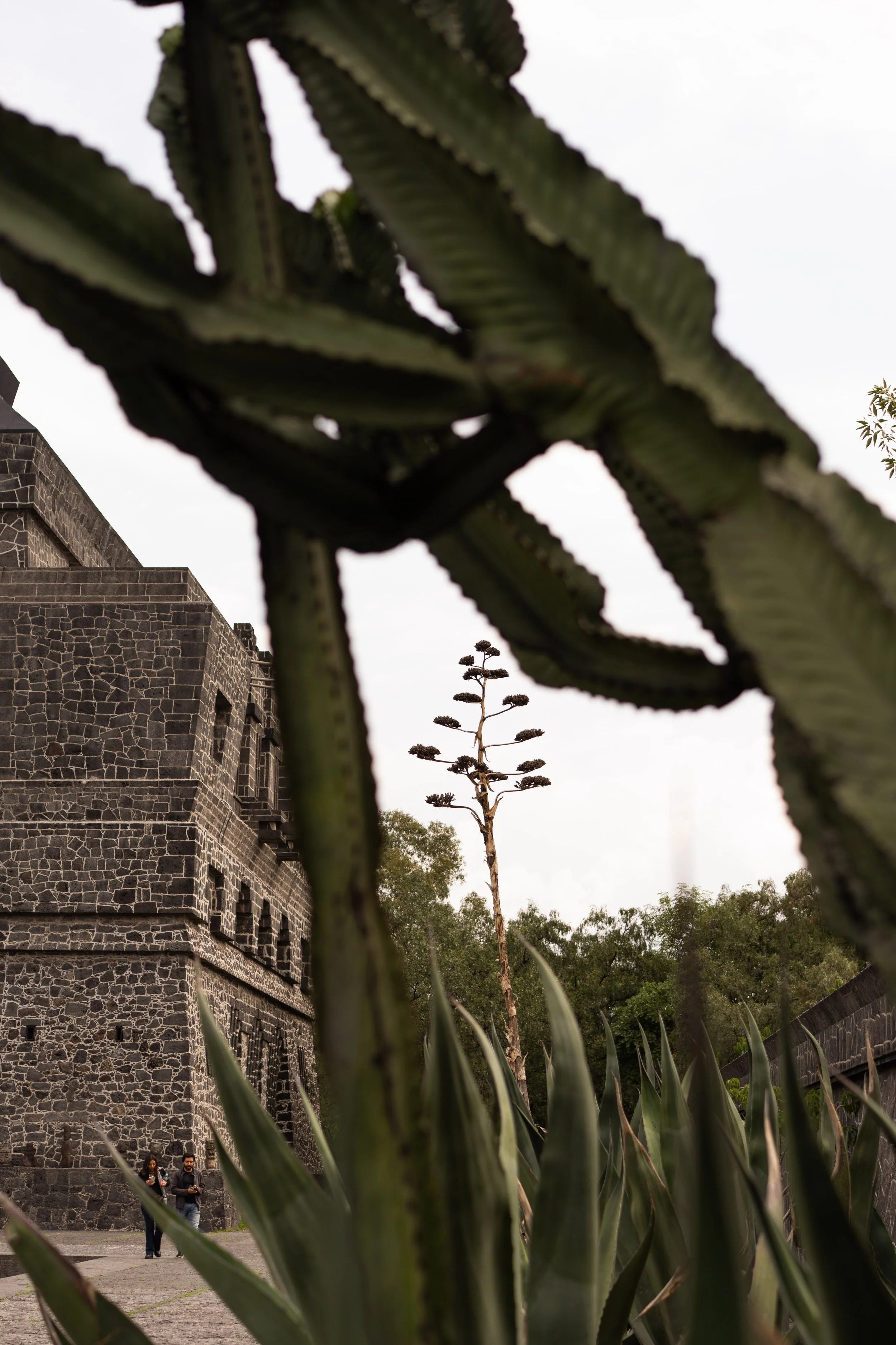20260809-MuseoAnahuacalli-edits-@xjuliiale-10.jpg