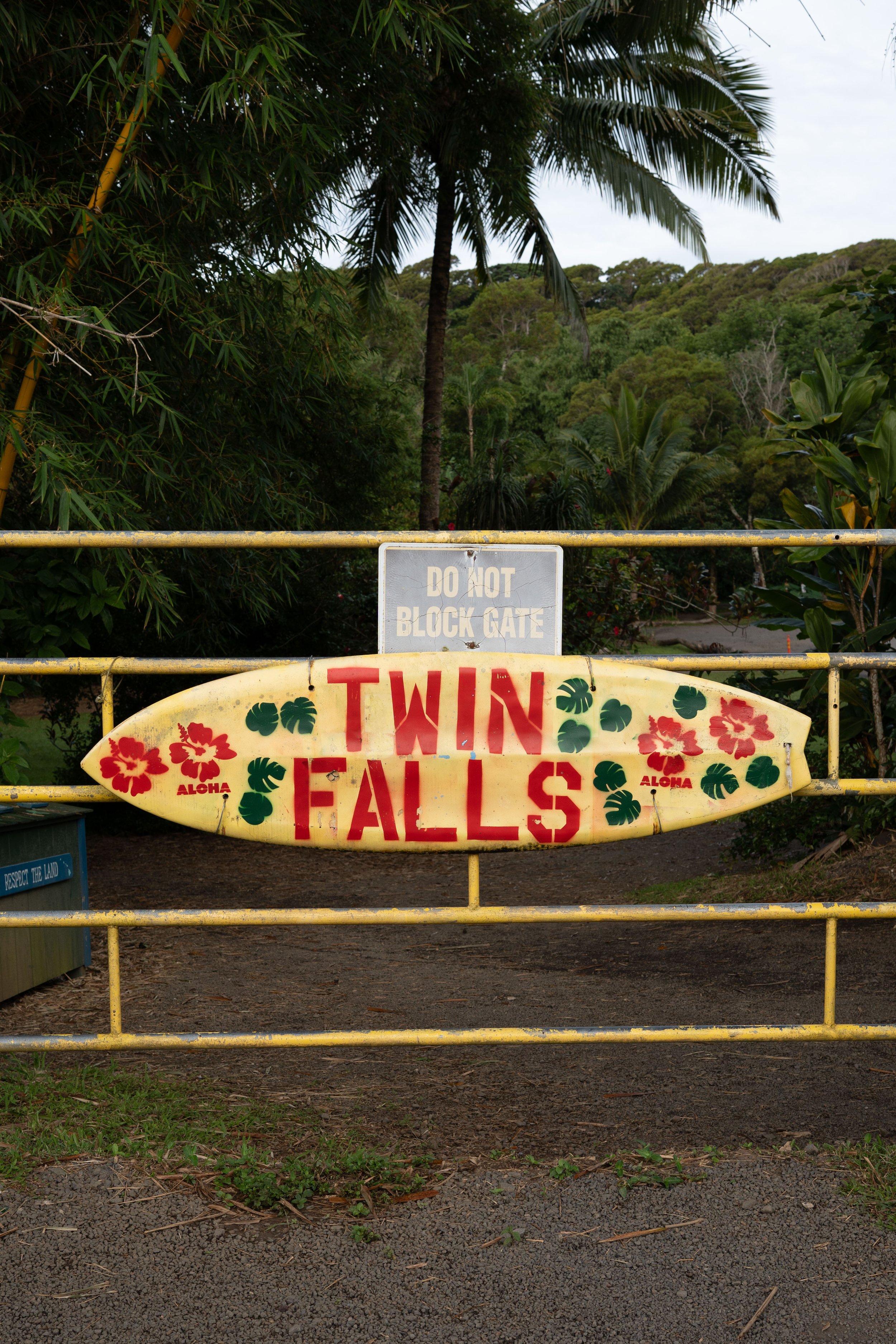 26JuneMaui-edits_@xjuliiale-9.jpg