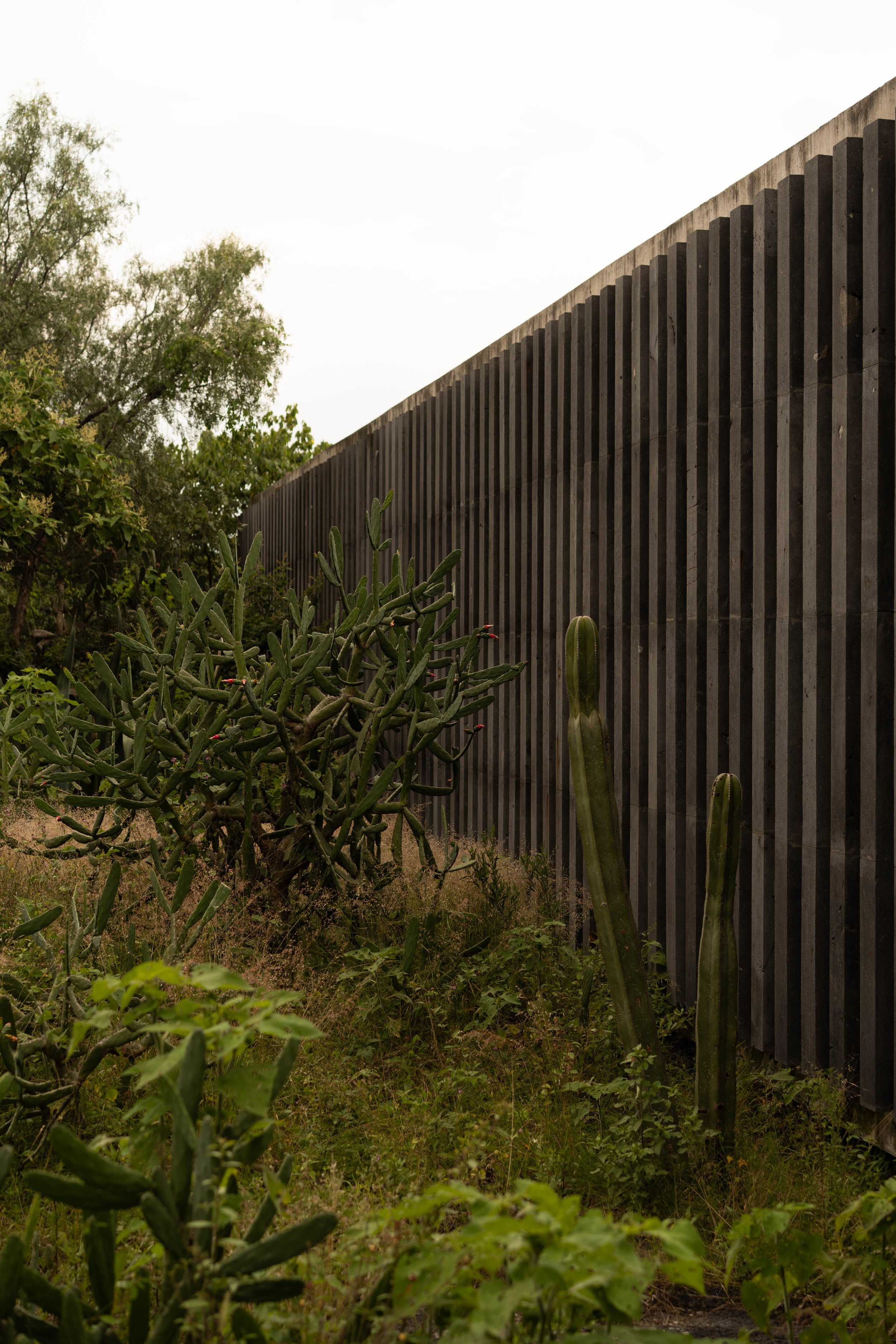 20260809-MuseoAnahuacalli-edits-@xjuliiale-4.jpg