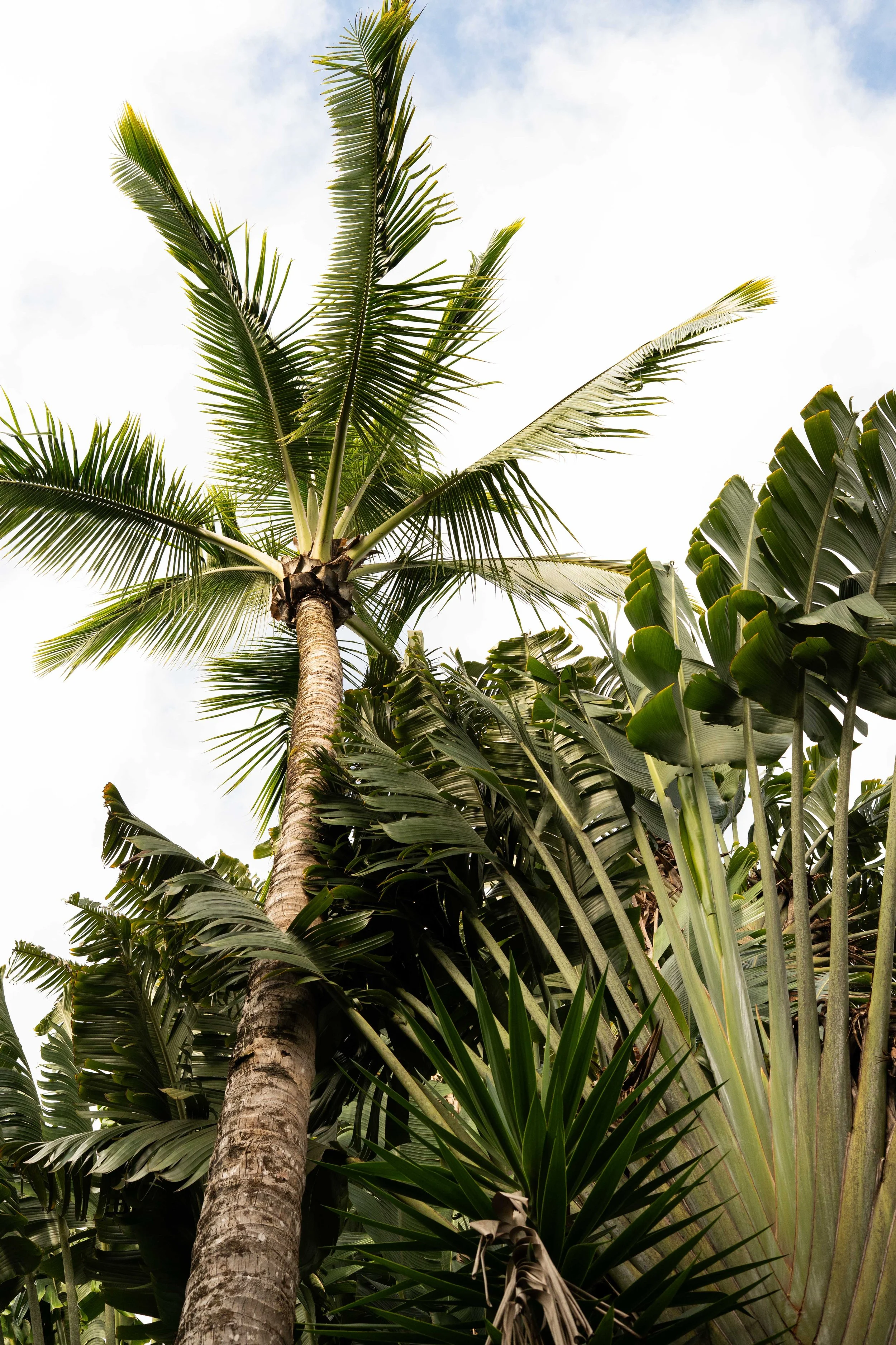 26JuneMaui-edits_@xjuliiale-13.jpg