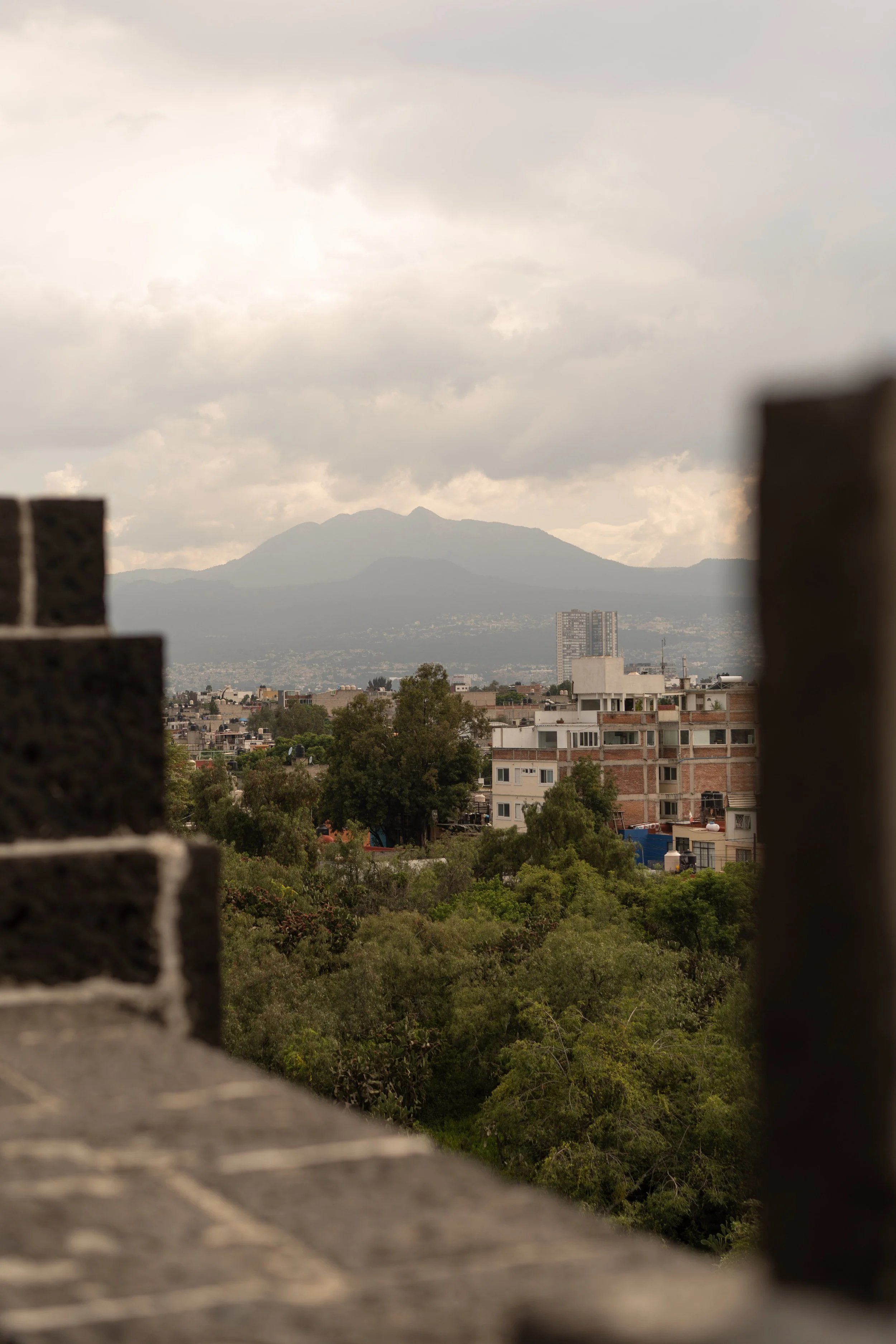 20260809-MuseoAnahuacalli-edits-@xjuliiale-13.jpg