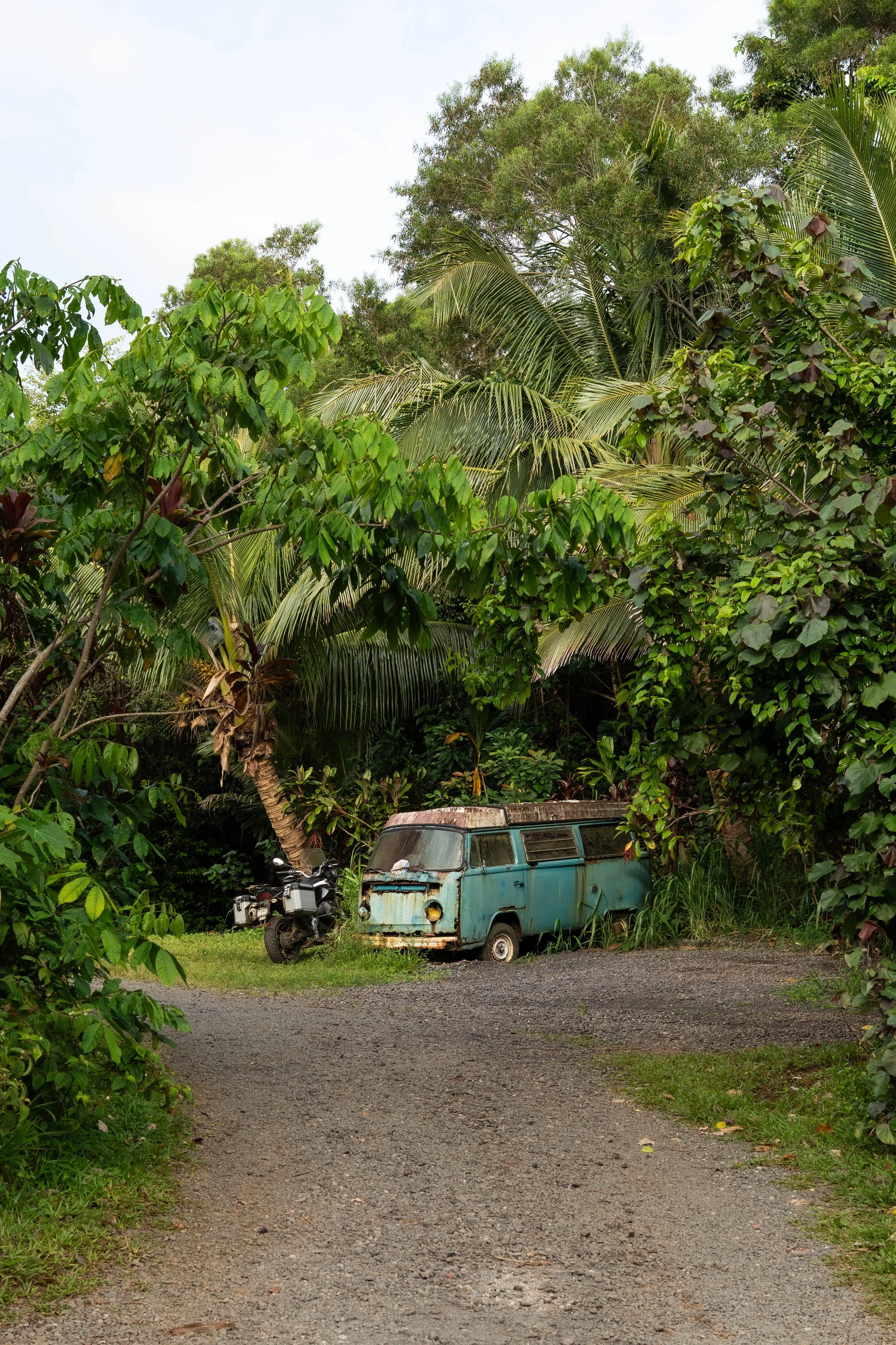 26JuneMaui-edits_@xjuliiale-11.jpg