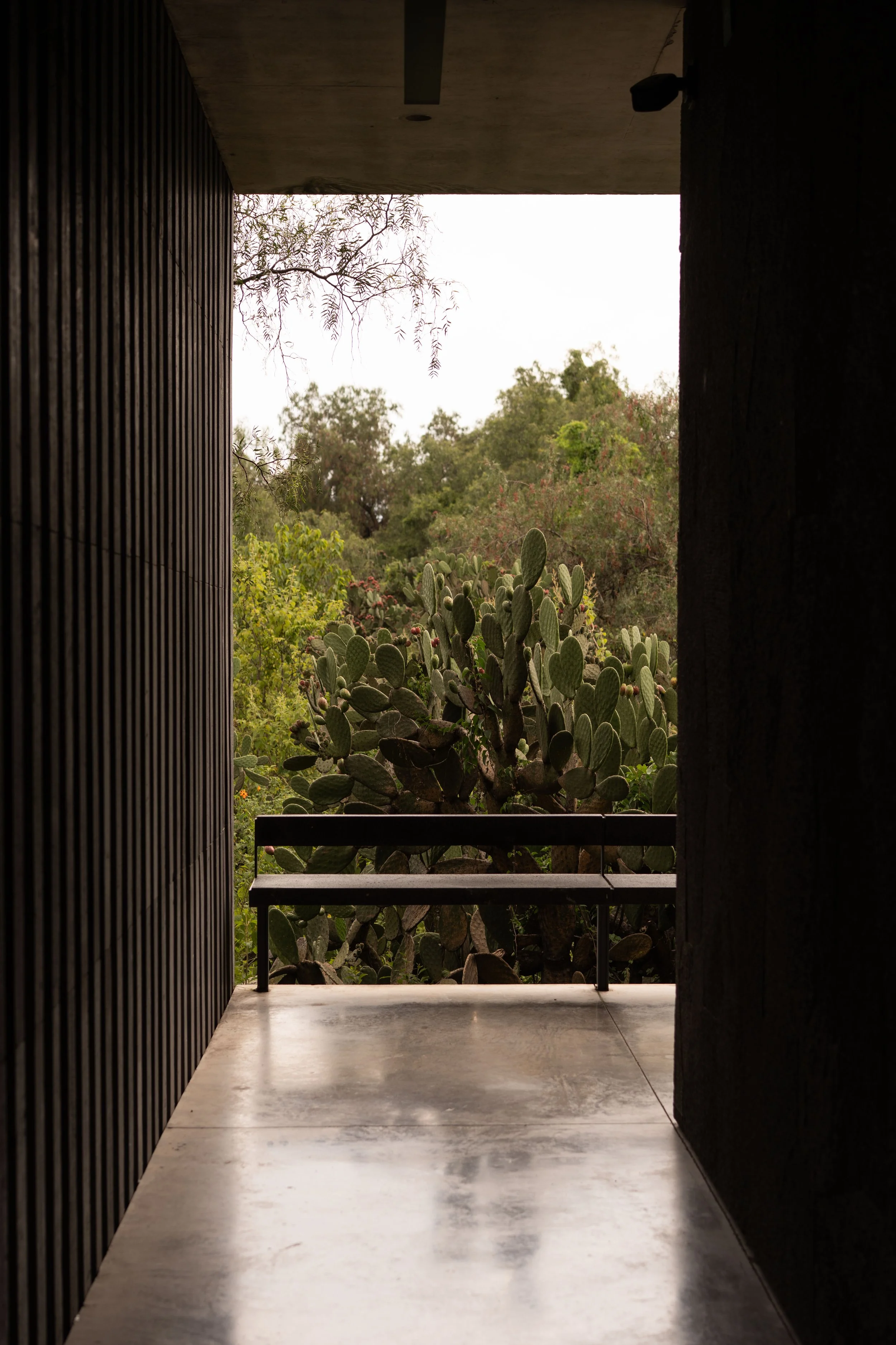 20260809-MuseoAnahuacalli-edits-@xjuliiale-8.jpg