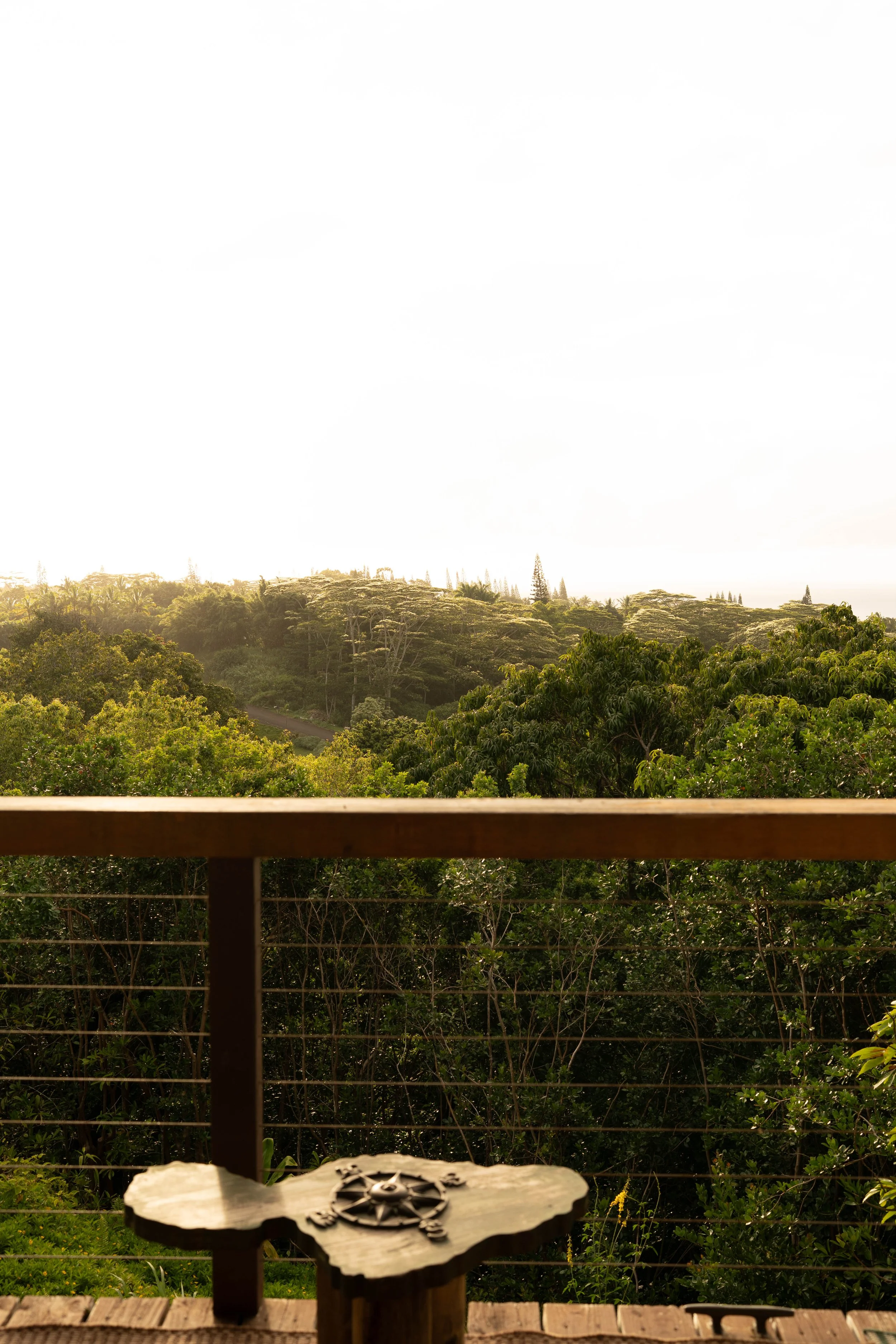 26JuneMaui_edits_@xjuliiale-15.jpg