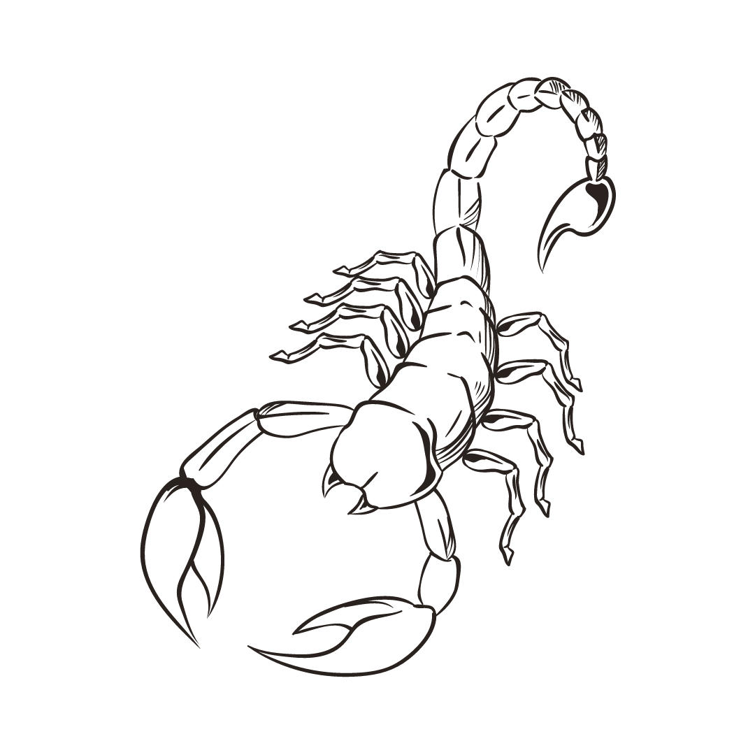 Heilsteine ββund Sternzeichen - Skorpion