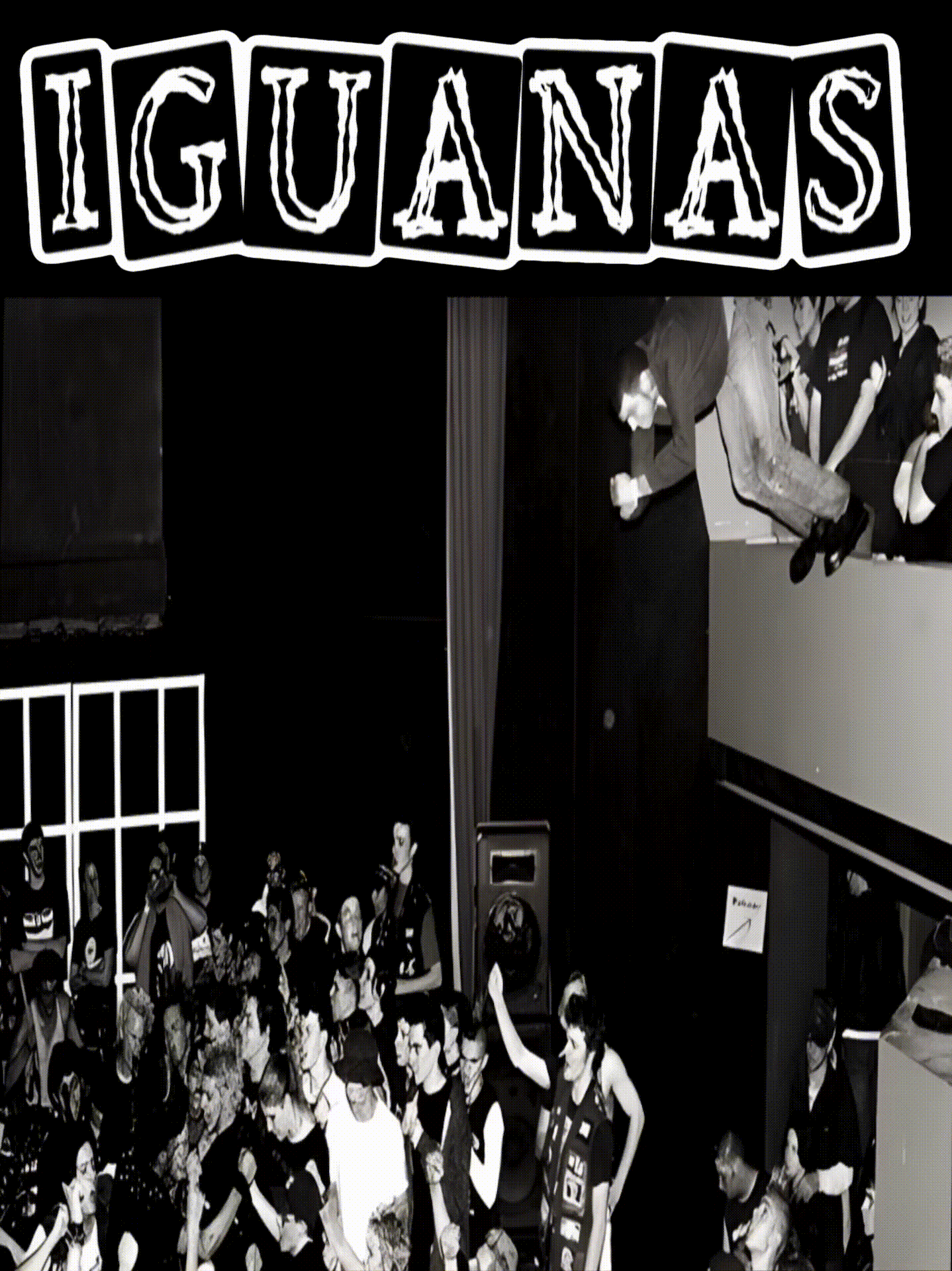 Iguanas-poster.gif