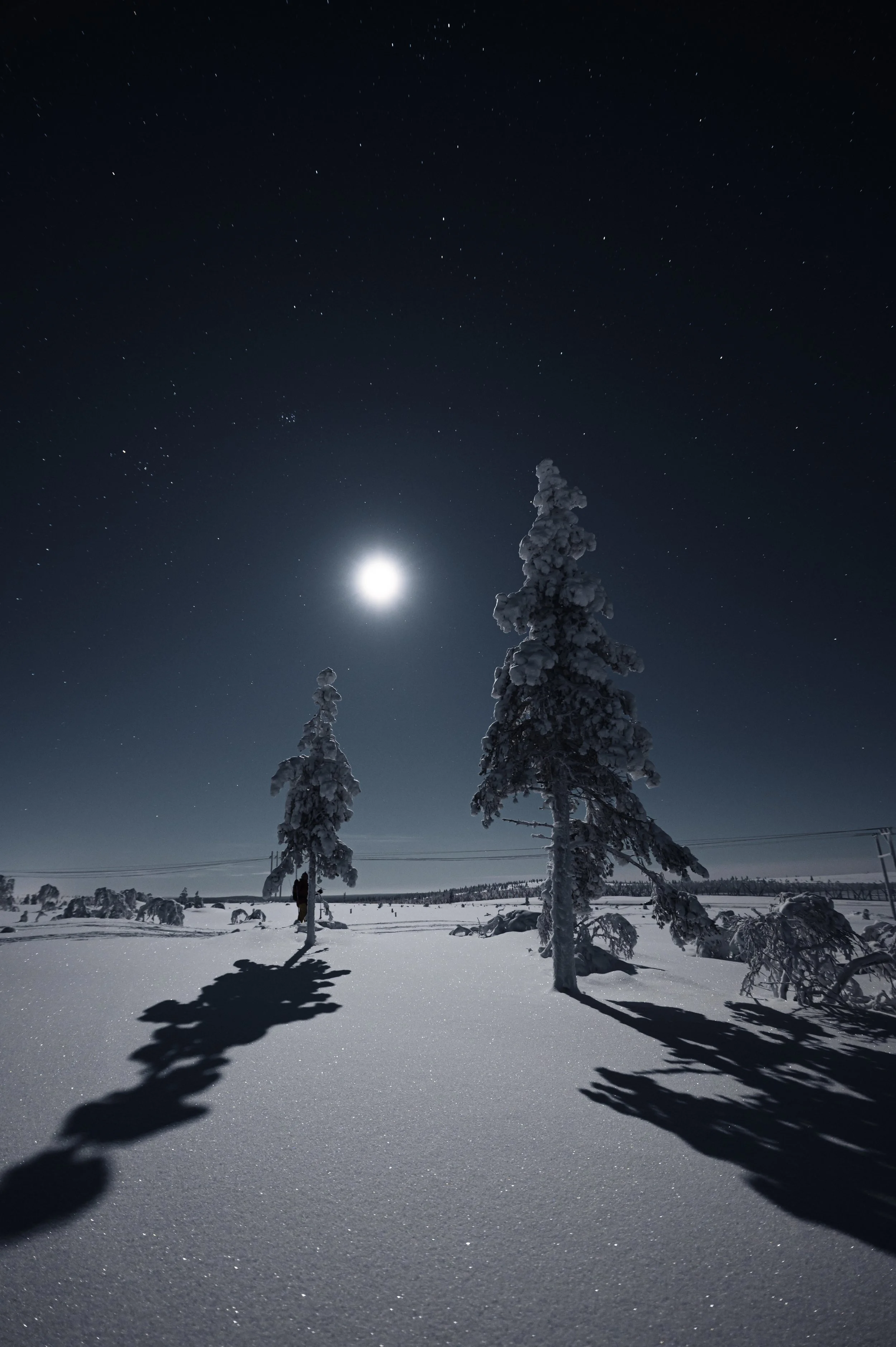 Joonas_Linkola_26-12-20-20201226-_DSC0031.jpg