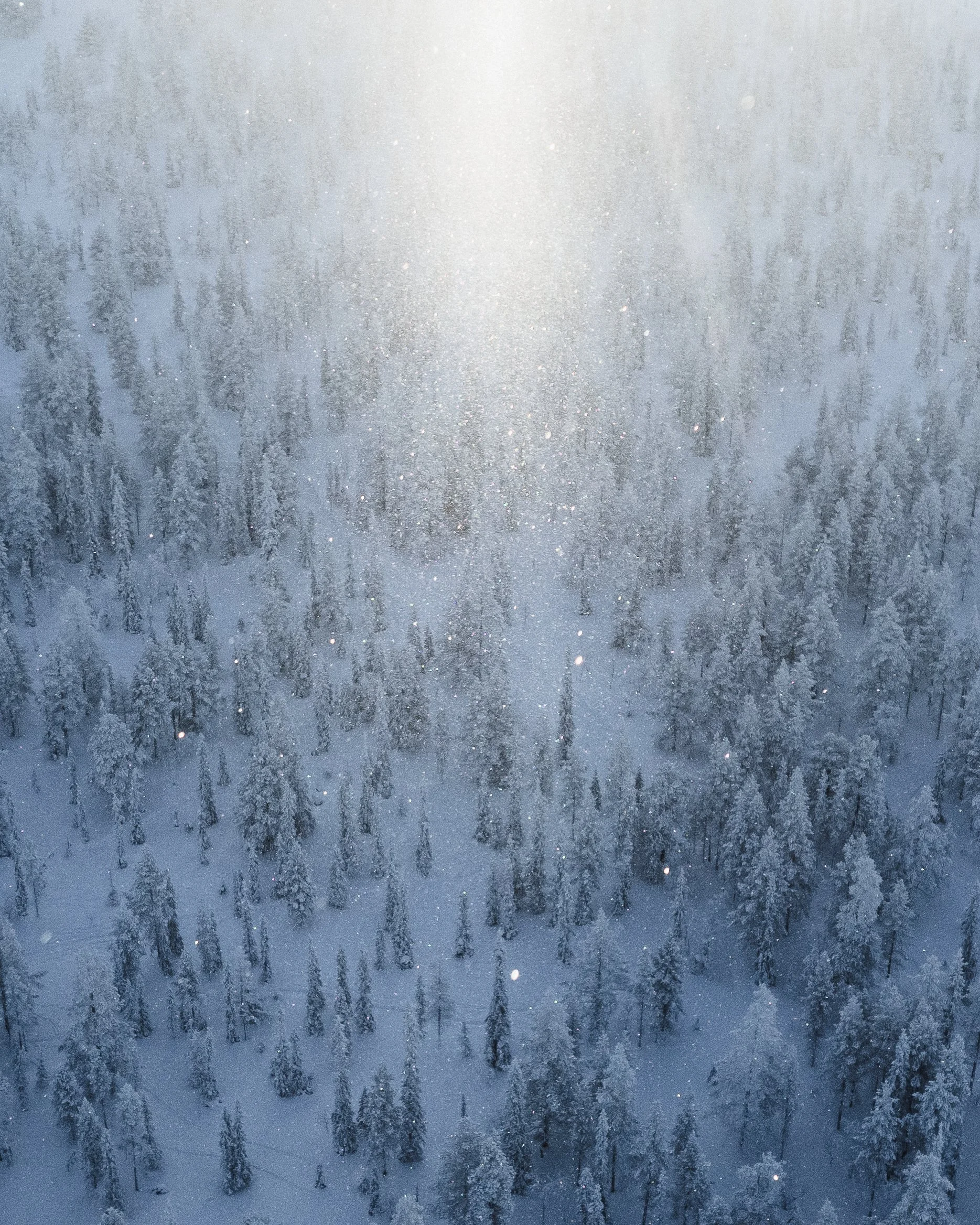 Joonas_Linkola_10-02-24-DJI_0035.jpg