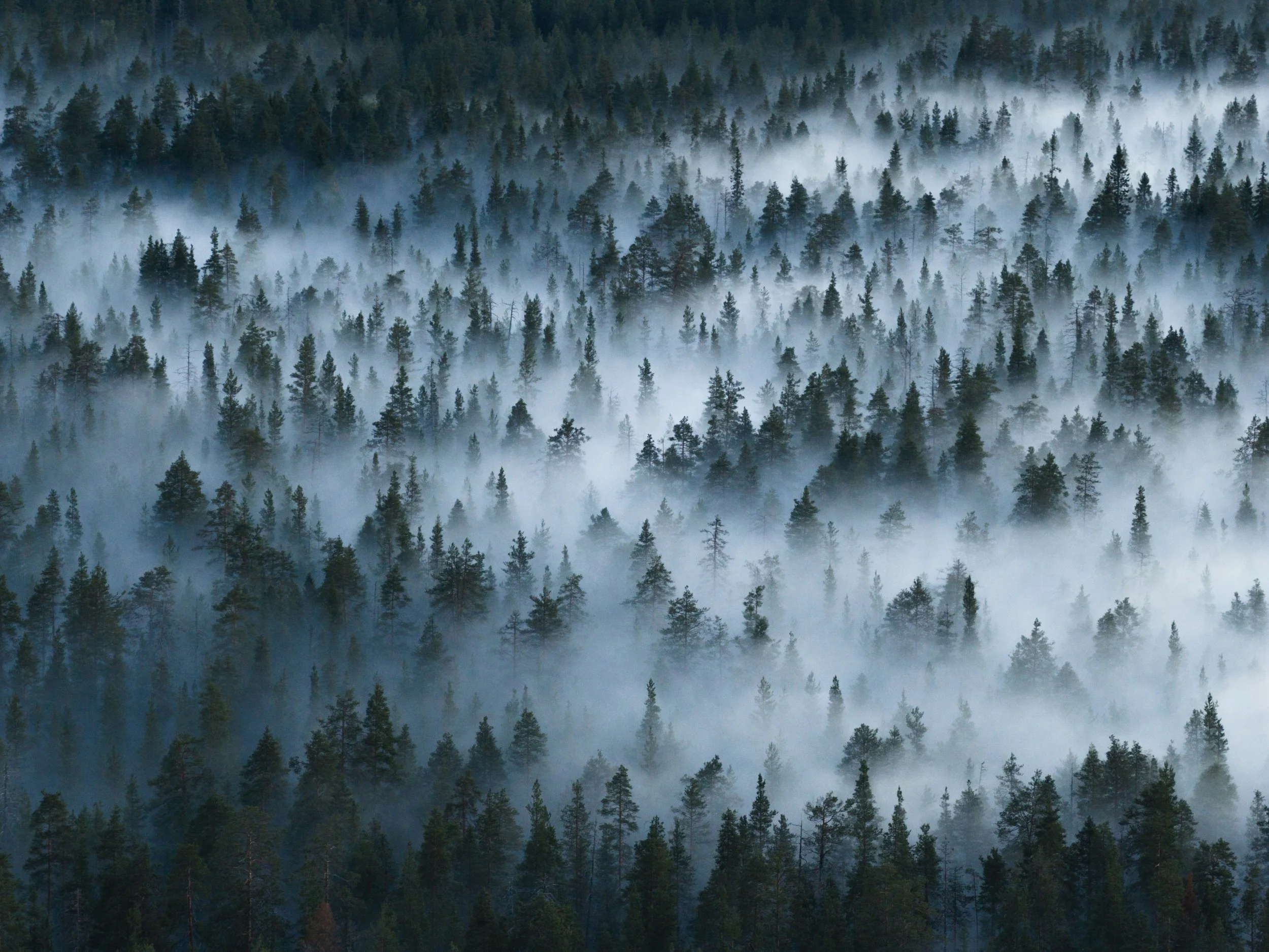 Joonas_Linkola_22-08-25-DJI_20250822050700_0064_D_MCEINARI.jpg