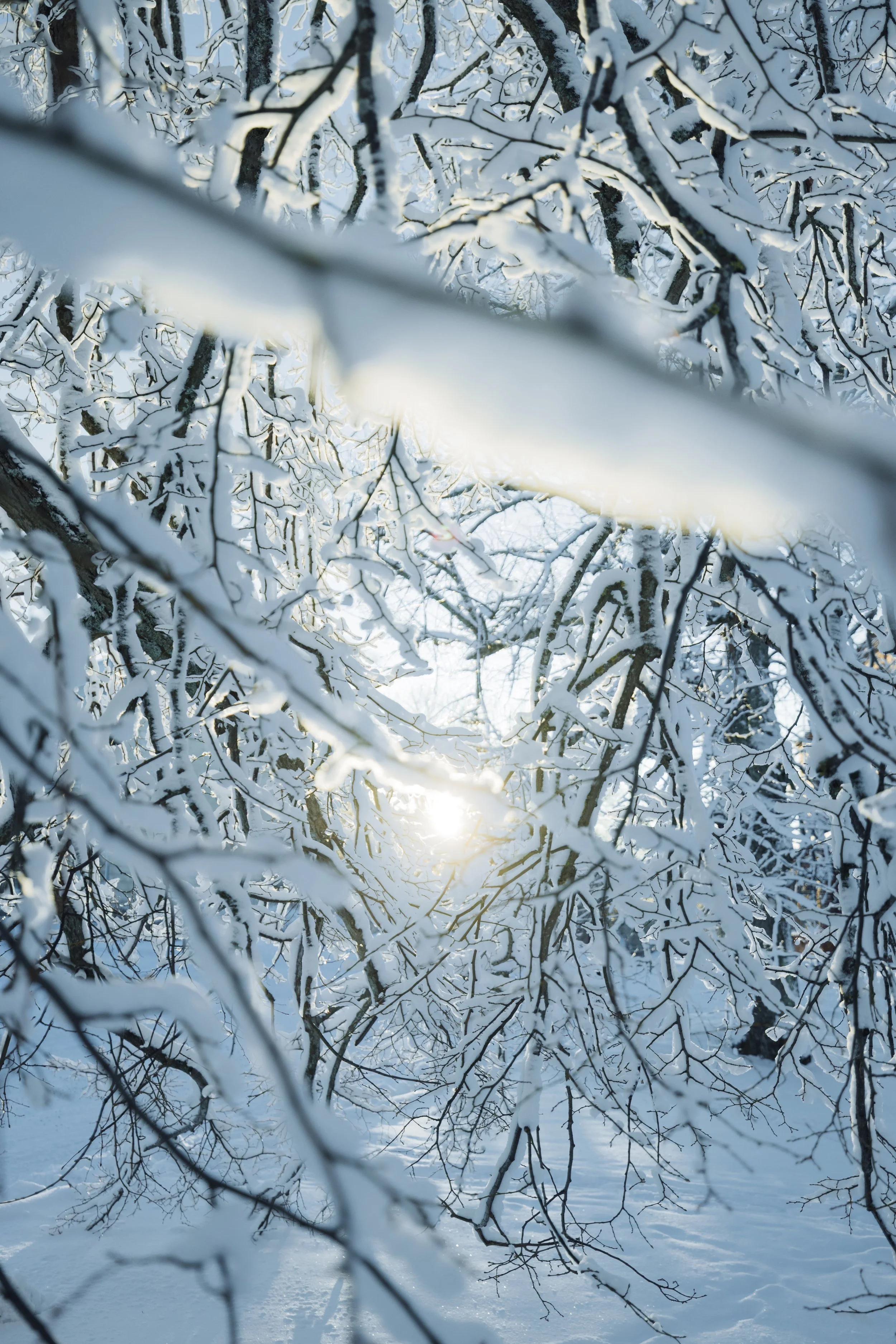 Joonas_Linkola_07-01-24-961A4999.jpg