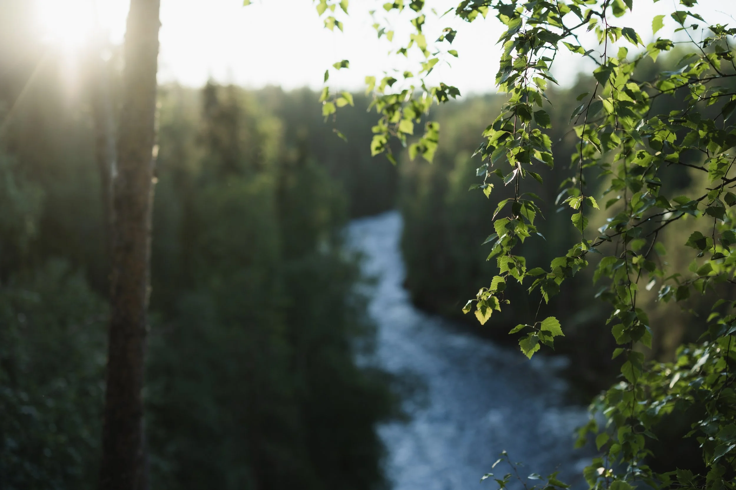 Joonas_Linkola_22-08-22-961A6905.jpg