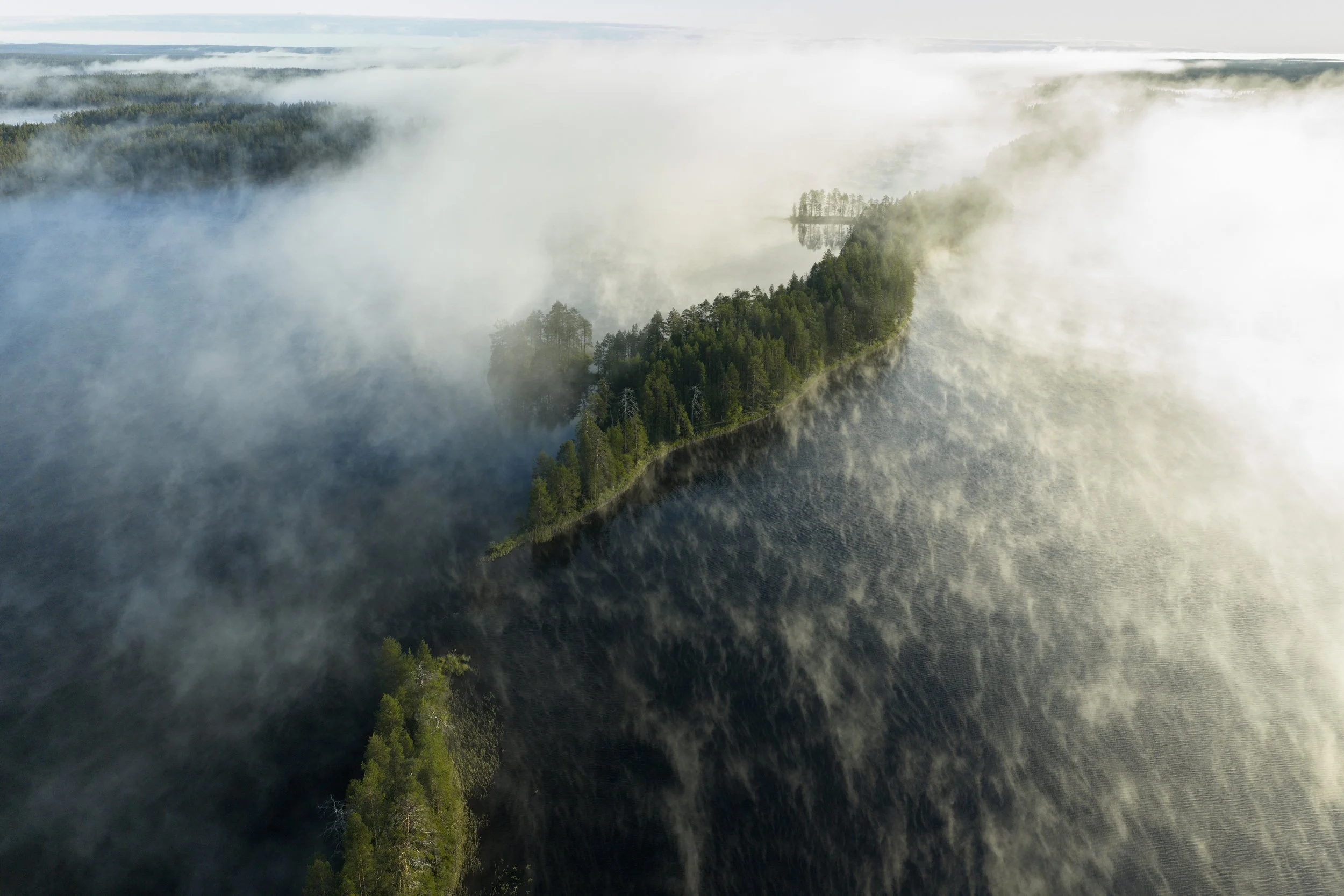 Joonas_Linkola_22-08-25-DJI_20250822065652_0347_D_MCEINARI.jpg