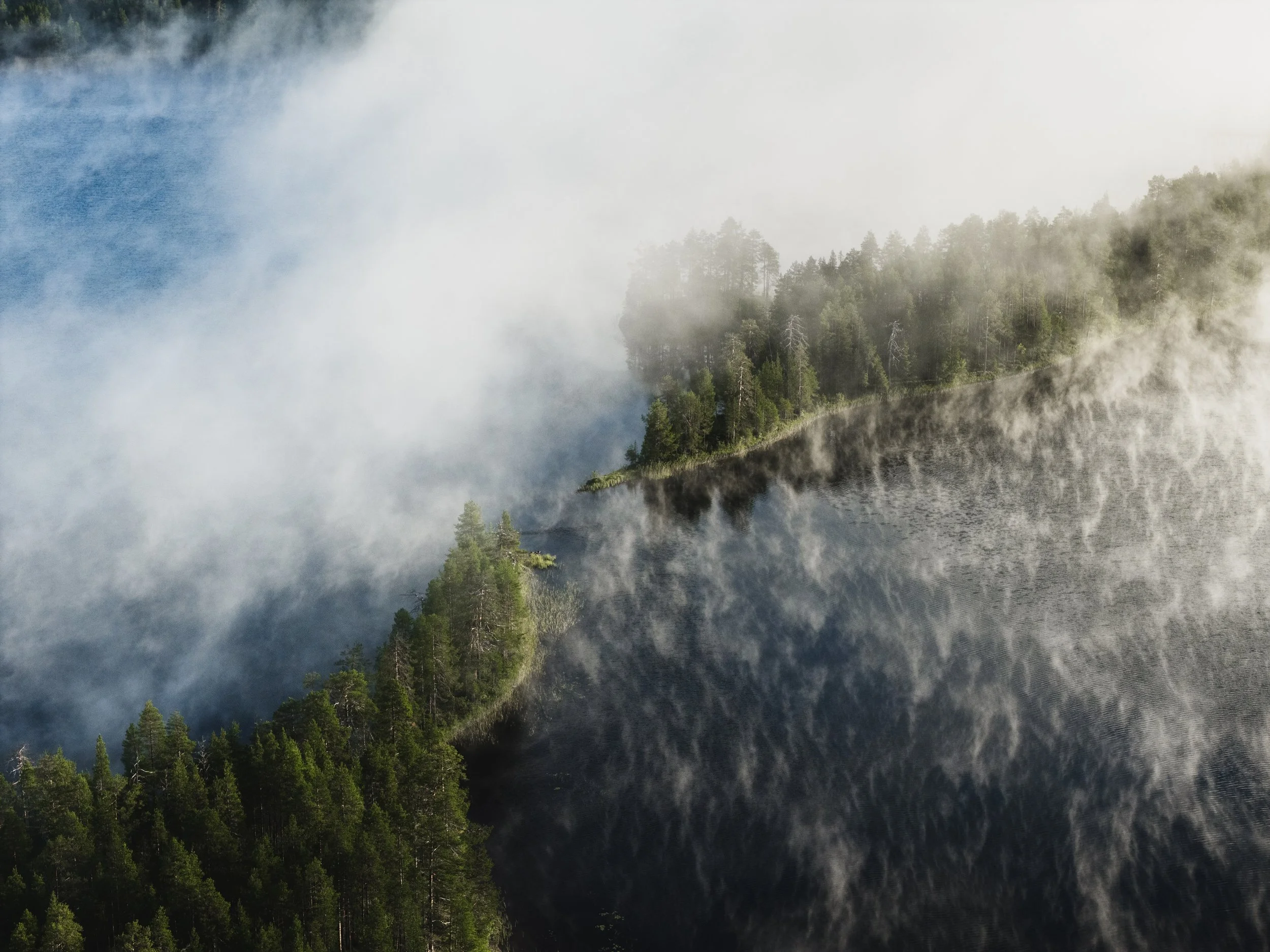 Joonas_Linkola_22-08-25-DJI_20250822065513_0333_D_MCEINARI.jpg
