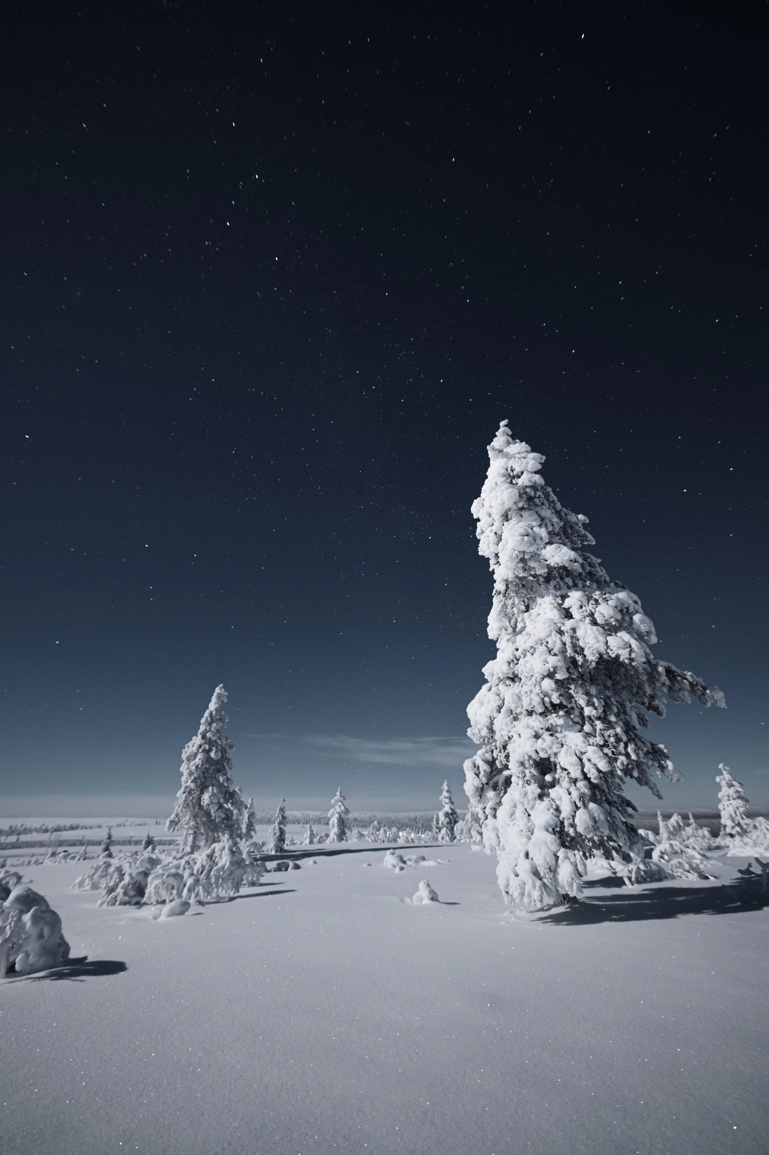 Joonas_Linkola_25-12-20-20201225-_DSC9999.jpg