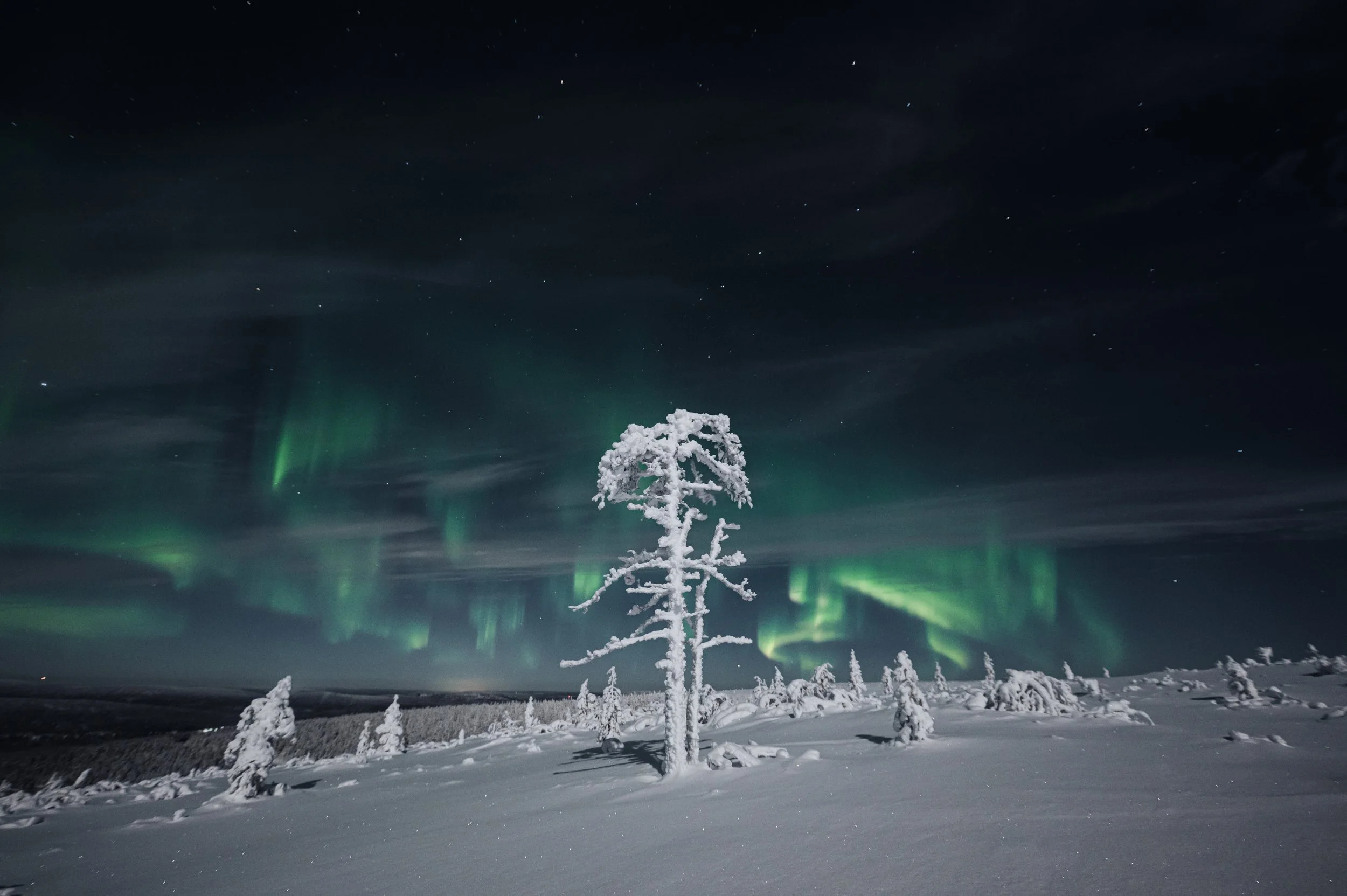 Joonas_Linkola_26-12-20-20201226-_DSC0118.jpg