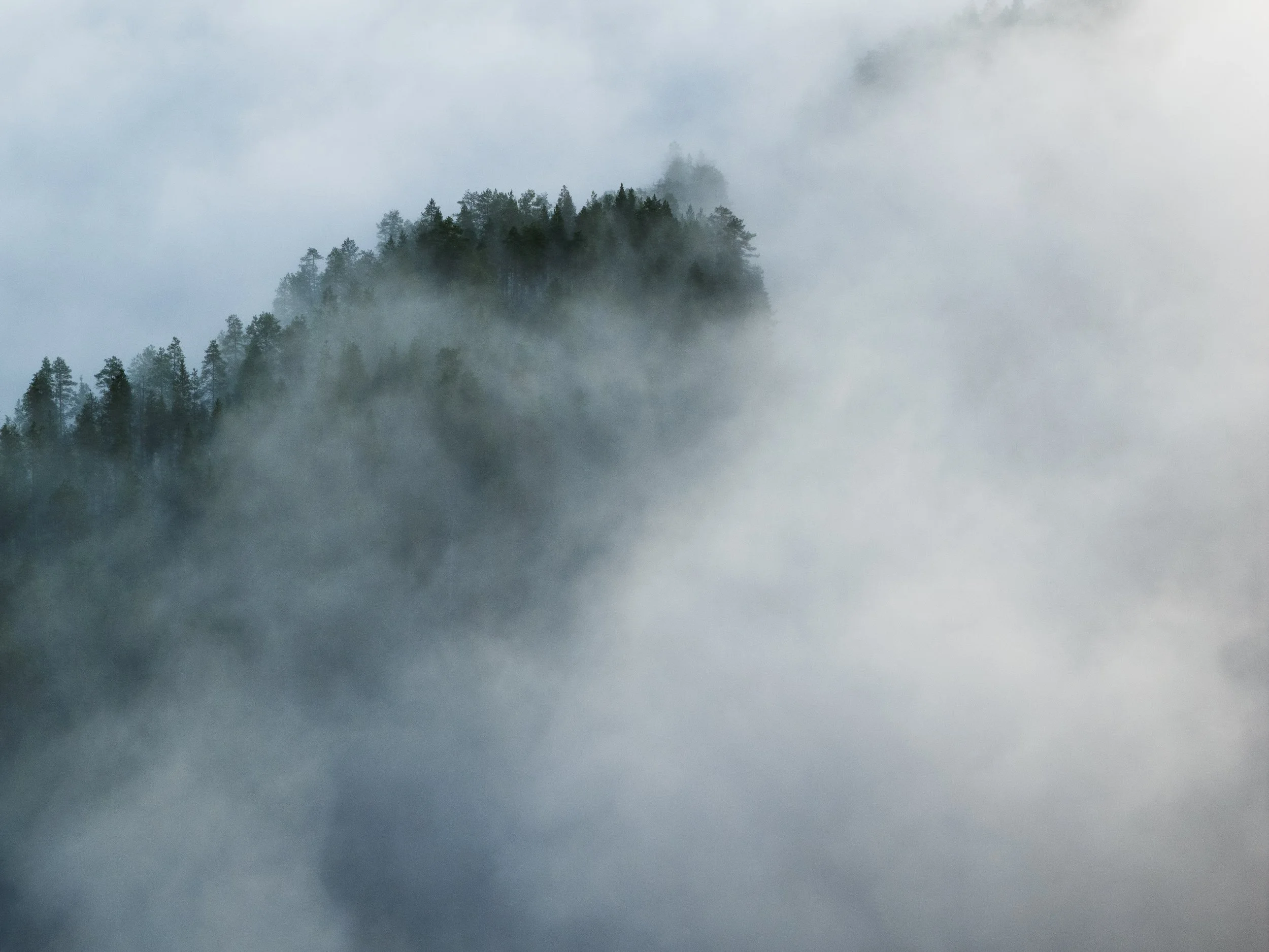 Joonas_Linkola_22-08-25-DJI_20250822055826_0258_D_MCEINARI.jpg