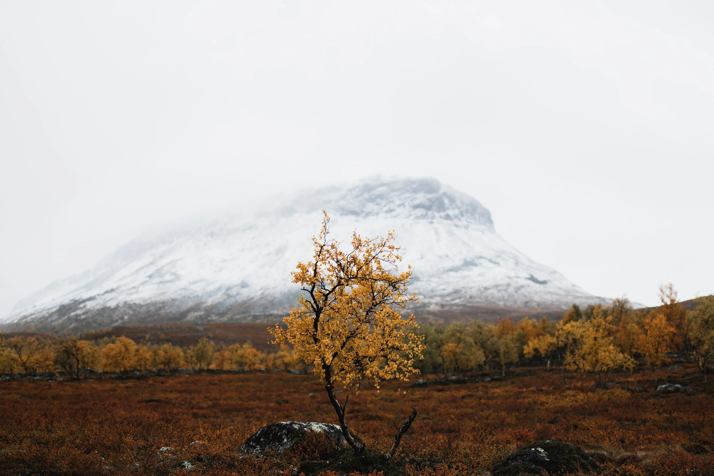Joonas_Linkola_14-09-22-961A0274.jpg