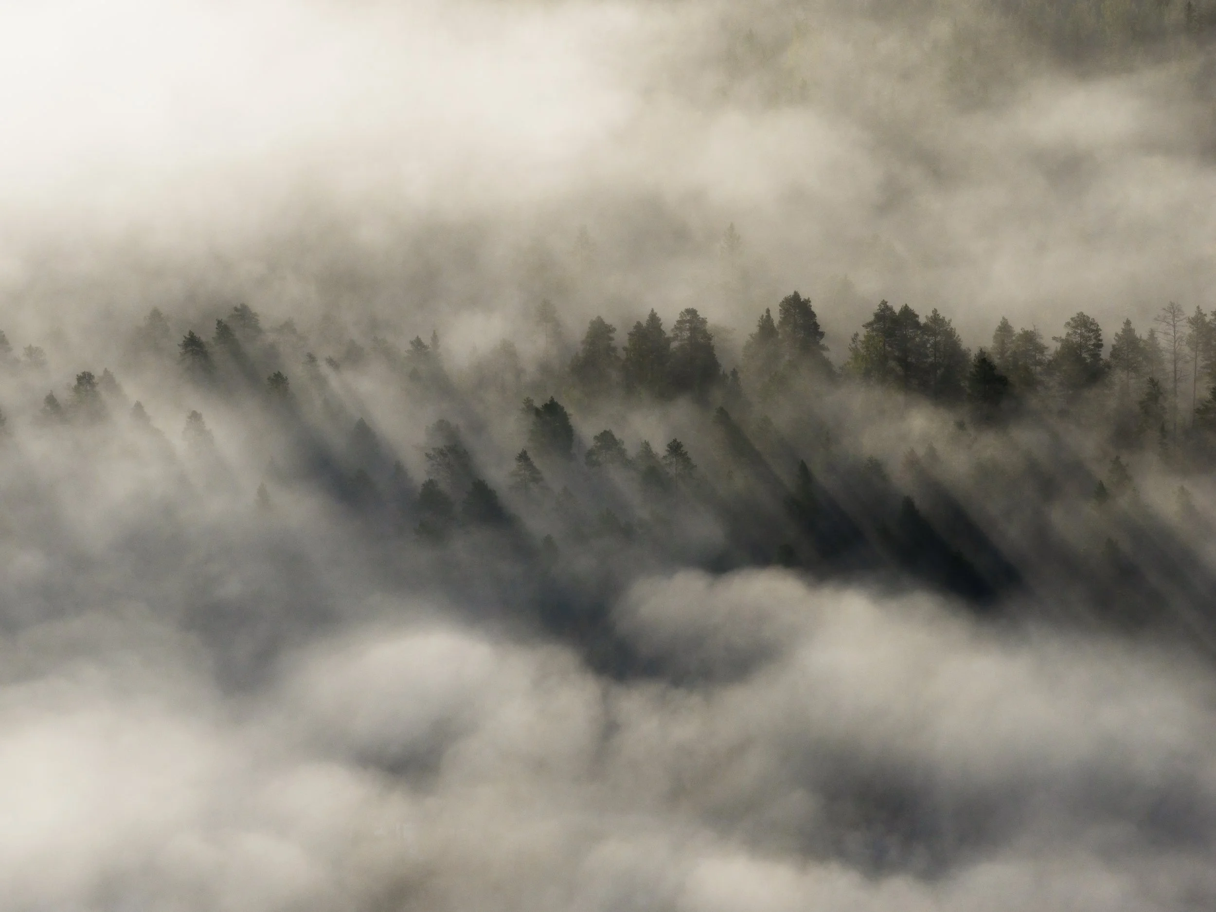 Joonas_Linkola_22-08-25-DJI_20250822062924_0292_D_MCEINARI.jpg
