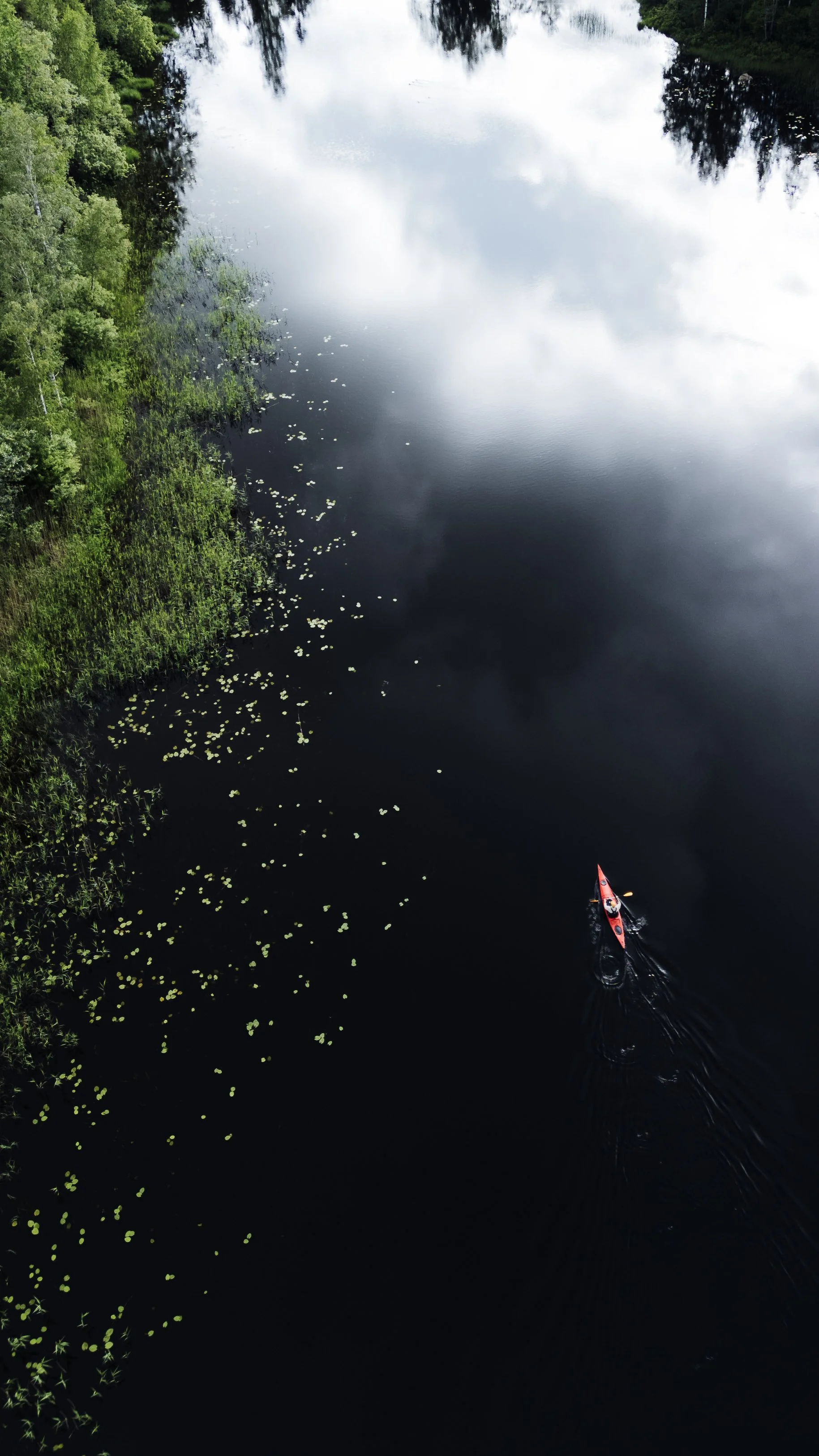 Joonas_Linkola_25-06-25-DJI_0552.jpg