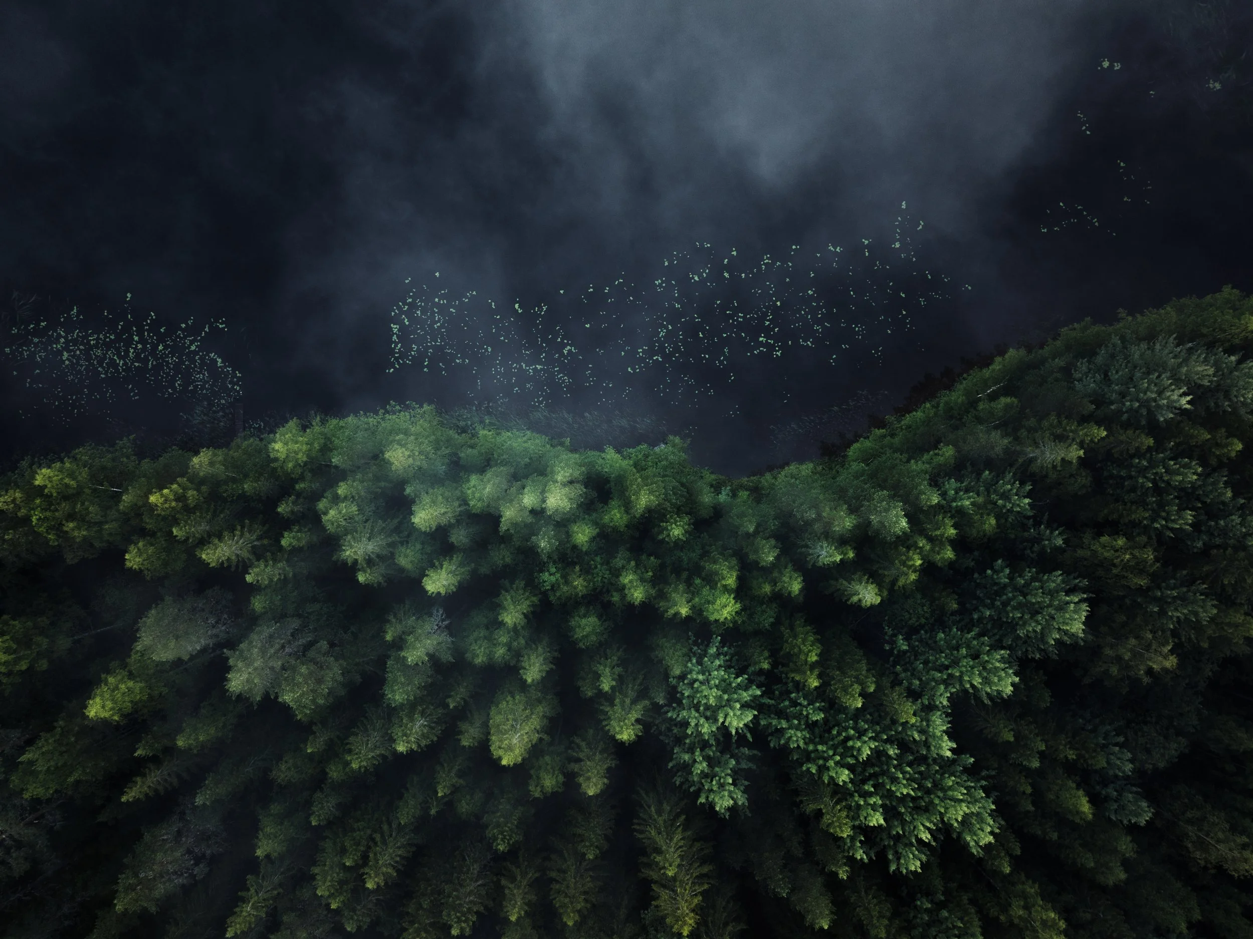 Joonas_Linkola_19-07-23-DJI_0544.jpg