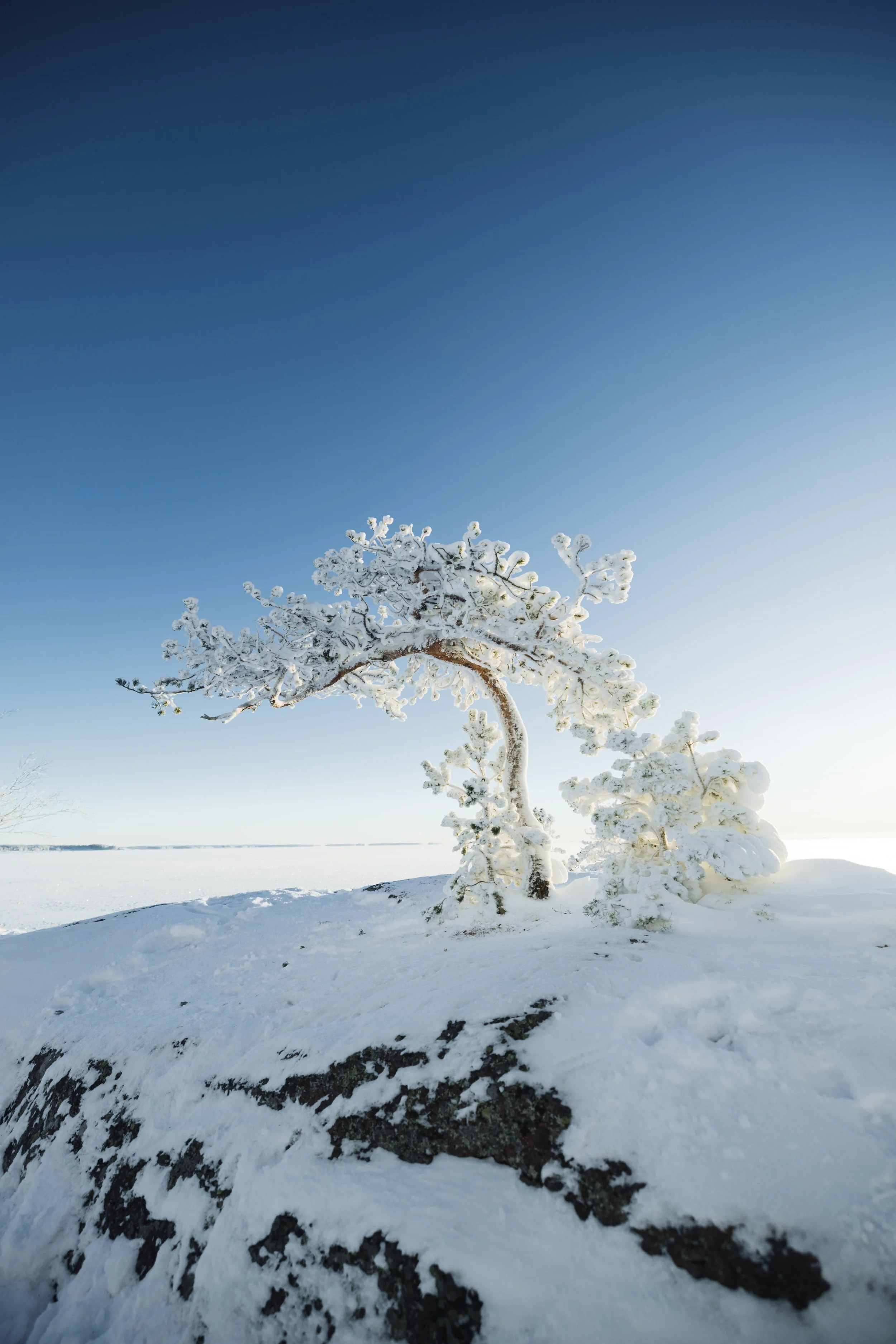Joonas_Linkola_07-01-24-961A4857.jpg