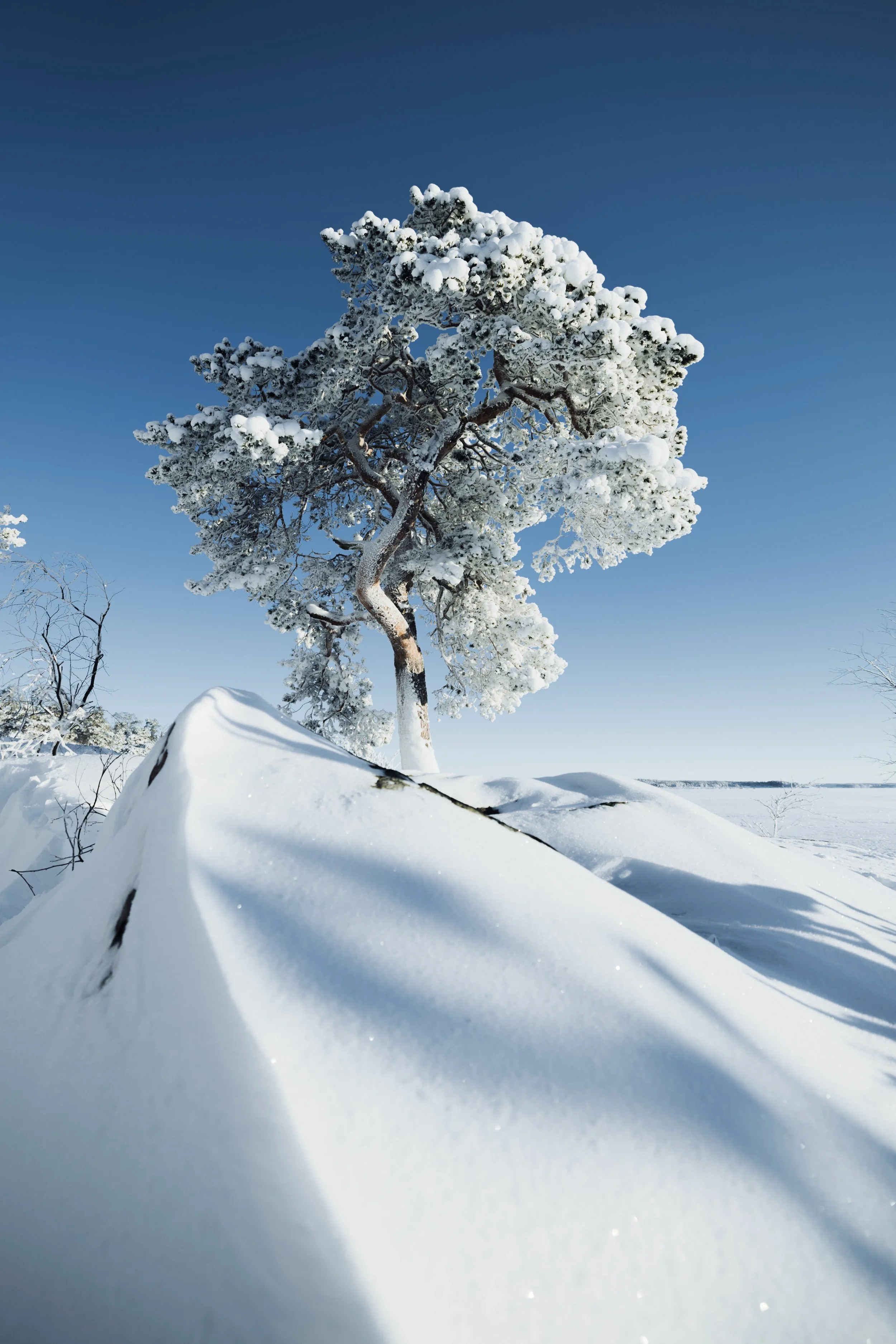 Joonas_Linkola_07-01-24-961A4879.jpg