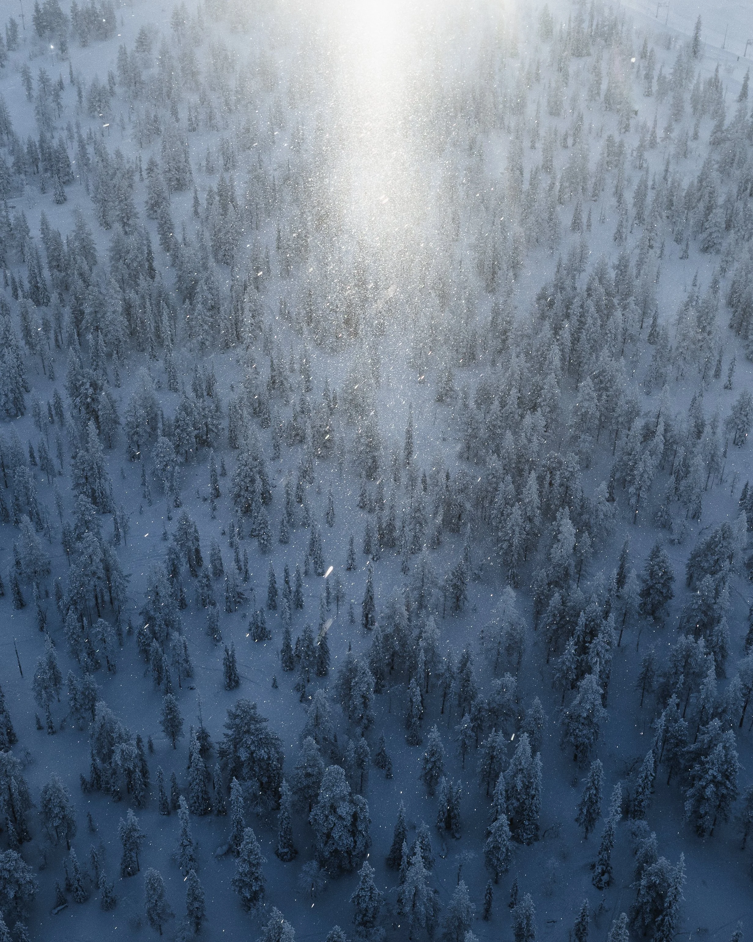 Joonas_Linkola_10-02-24-DJI_0031.jpg