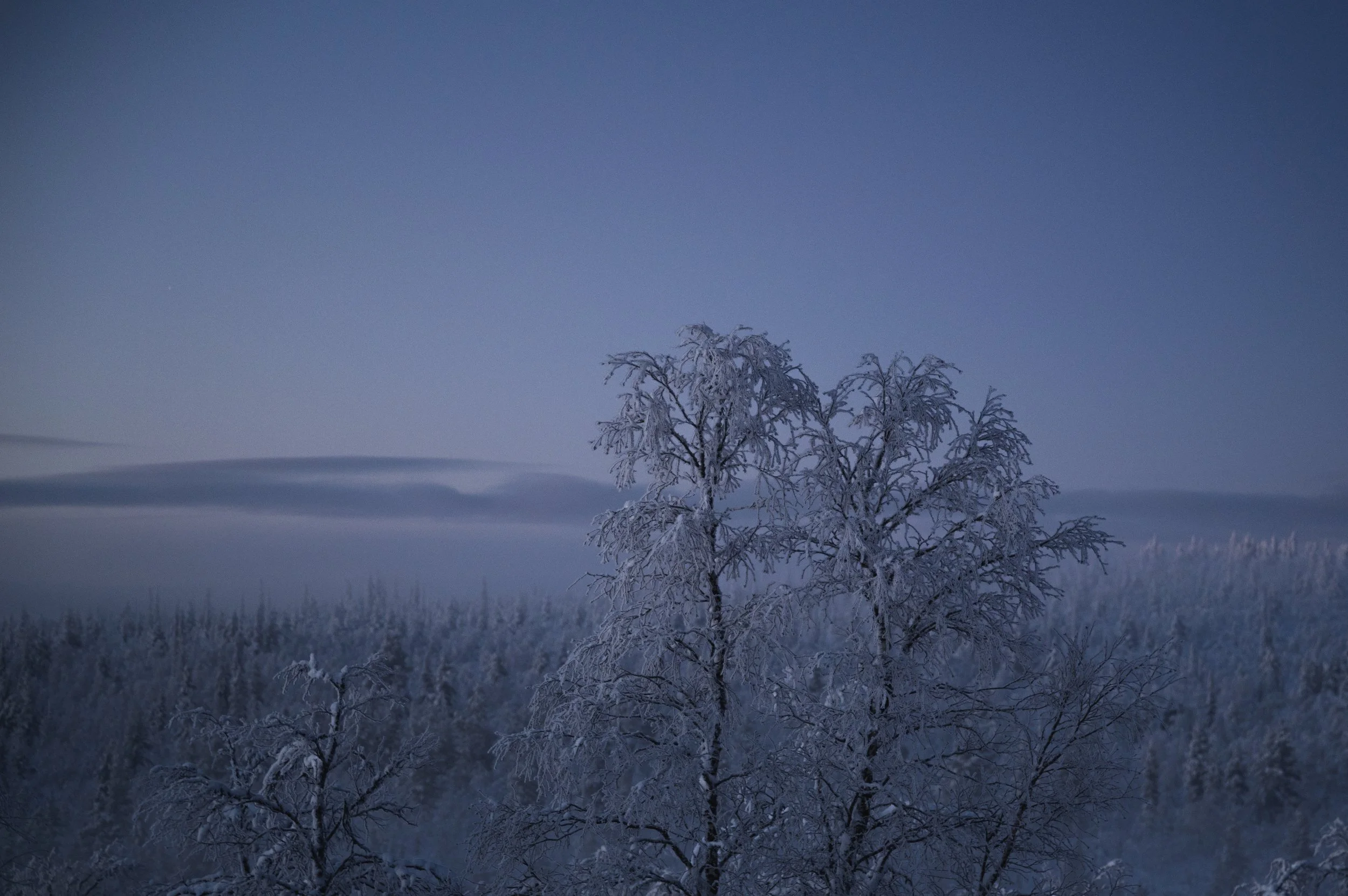 Joonas_Linkola_03-01-21-20210103-DSC_0880.jpg