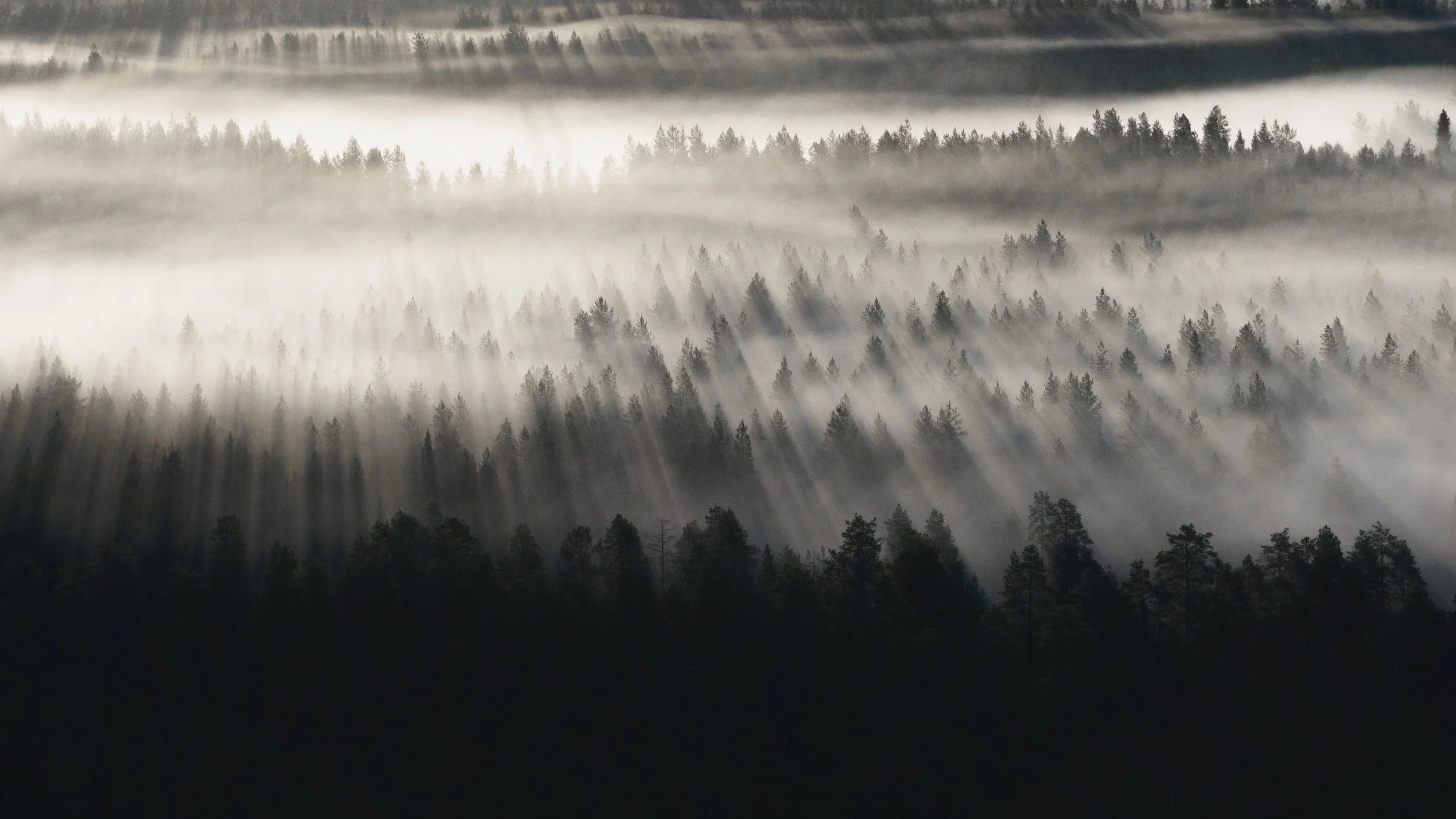Joonas_Linkola_22-08-25-DJI_20250822054015_0139_D_MCEINARI.jpg