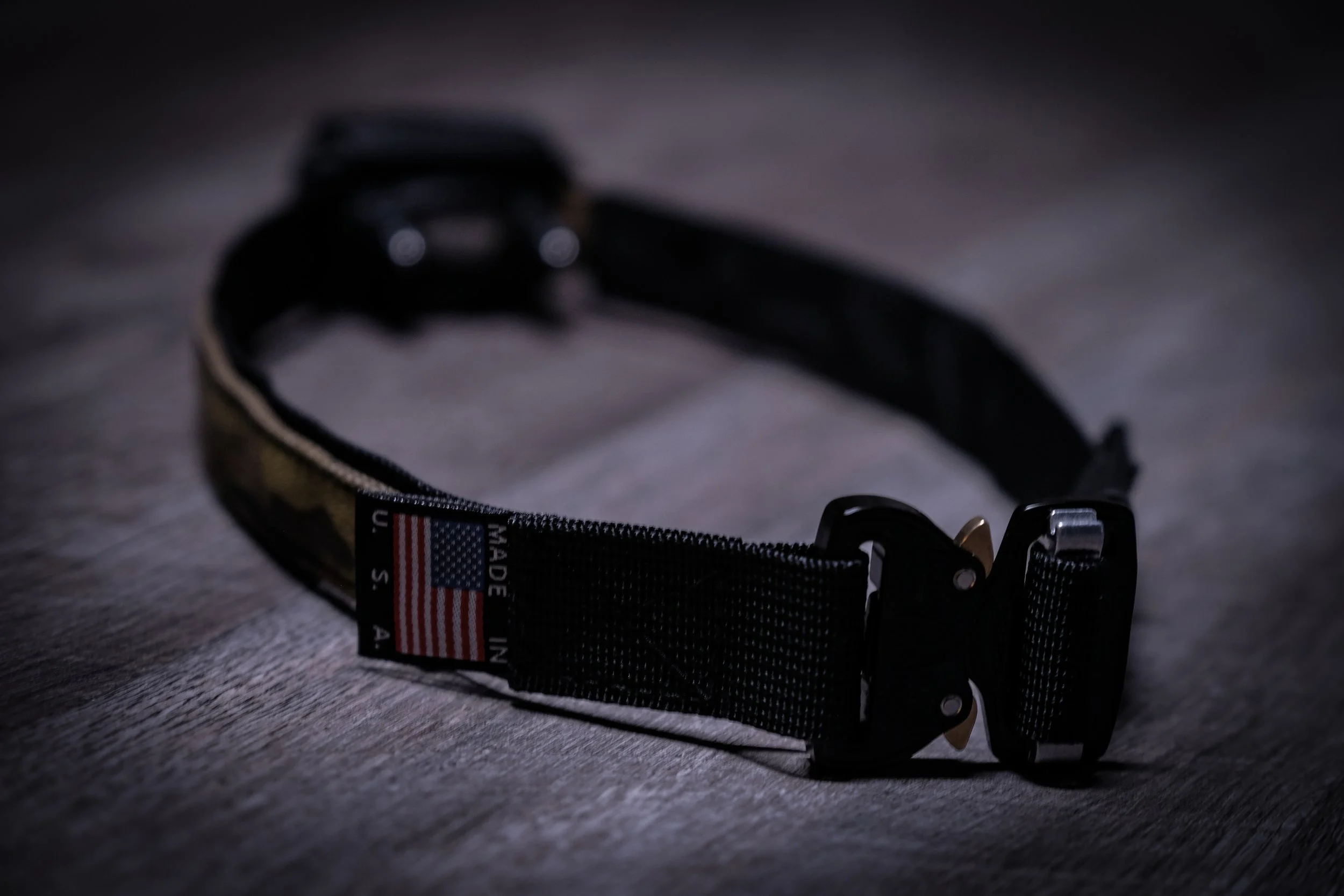 K9 E-Collar 1.jpg