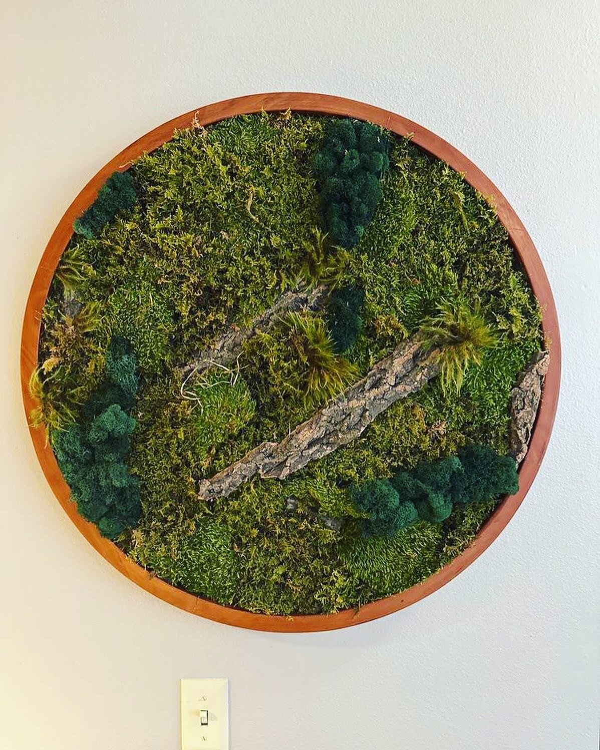 Love seeing our moss walls in action 🙌 
Moss boasts limitless design potential and really brings life to a space. DM us for your own today! @growgiesenplantshop 

Thank you to one of our clients for sending these to us!
#wichitalifeict #ictgirlgang 
