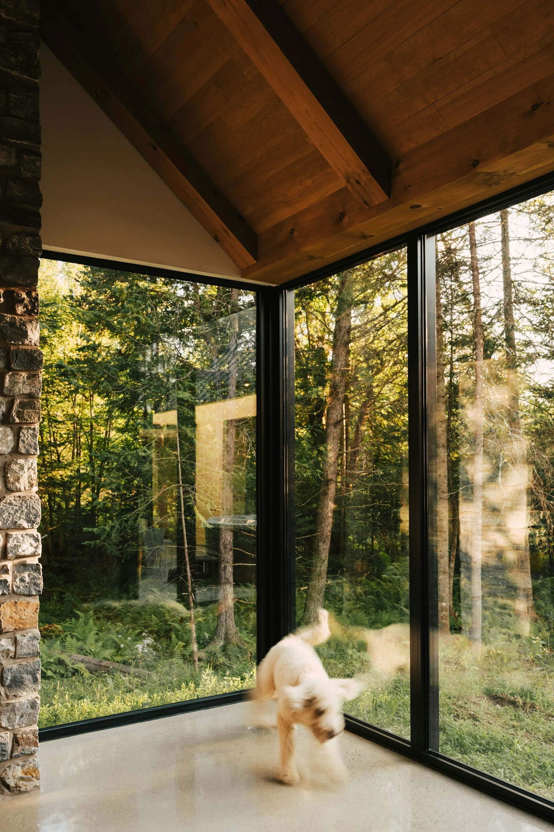 Angle vitré d’un habitat familial rénové avec sol minéral et grandes menuiseries aluminium, utilisé au quotidien après travaux