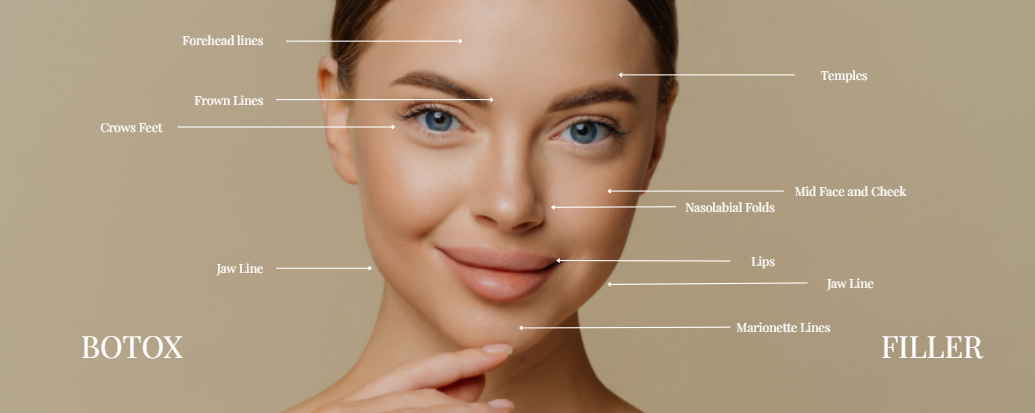 Explore botox and dermal filler | Levore Aesthetics