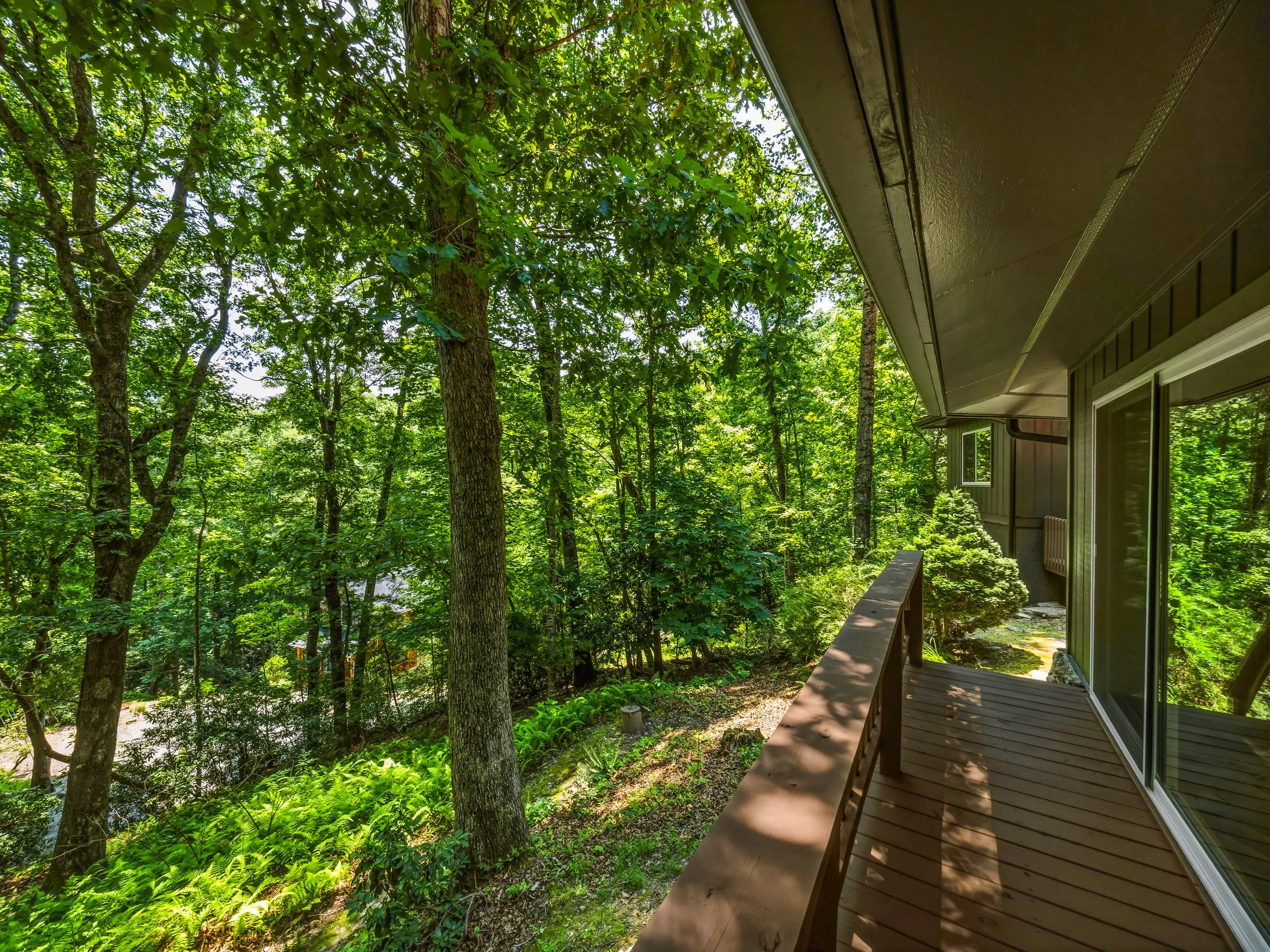 13-785 pisgah forest rd-13.jpg