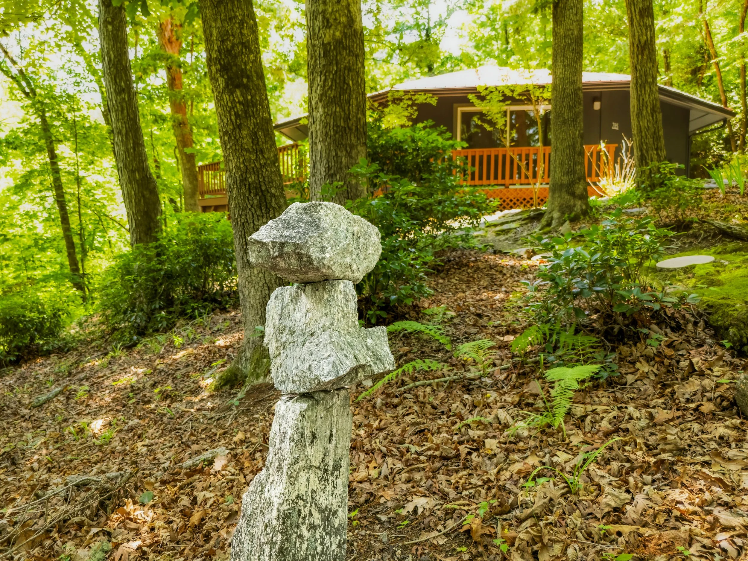 11-785 pisgah forest rd-11.jpg