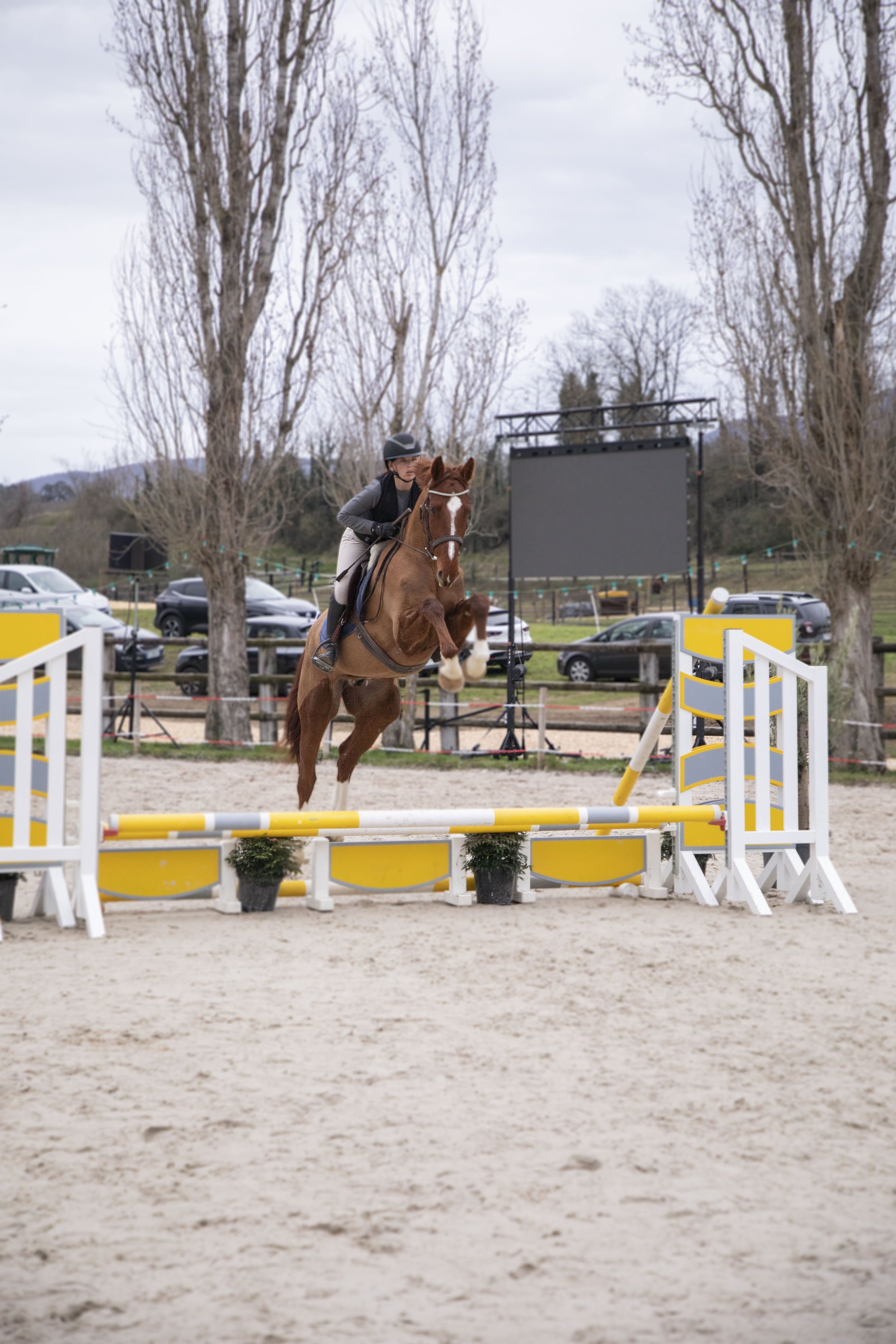 CSO, cheval, oxer