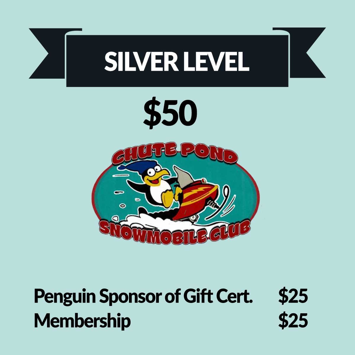silverlevel.jpg