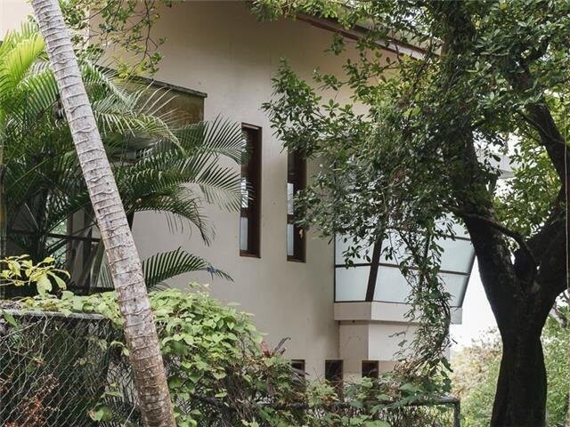 jungle-trees-nosara-rental.jpeg