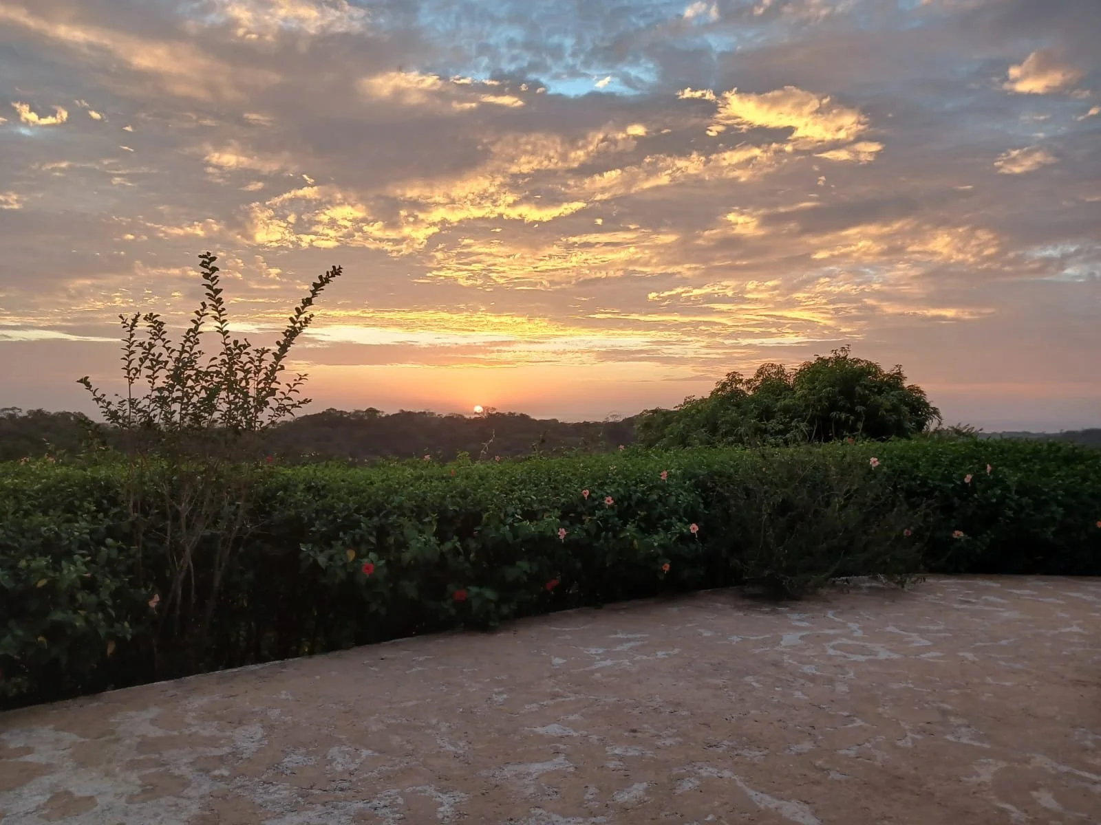 WhatsApp Image 2026-08-06 at 3.12.31 PM (2).jpeg