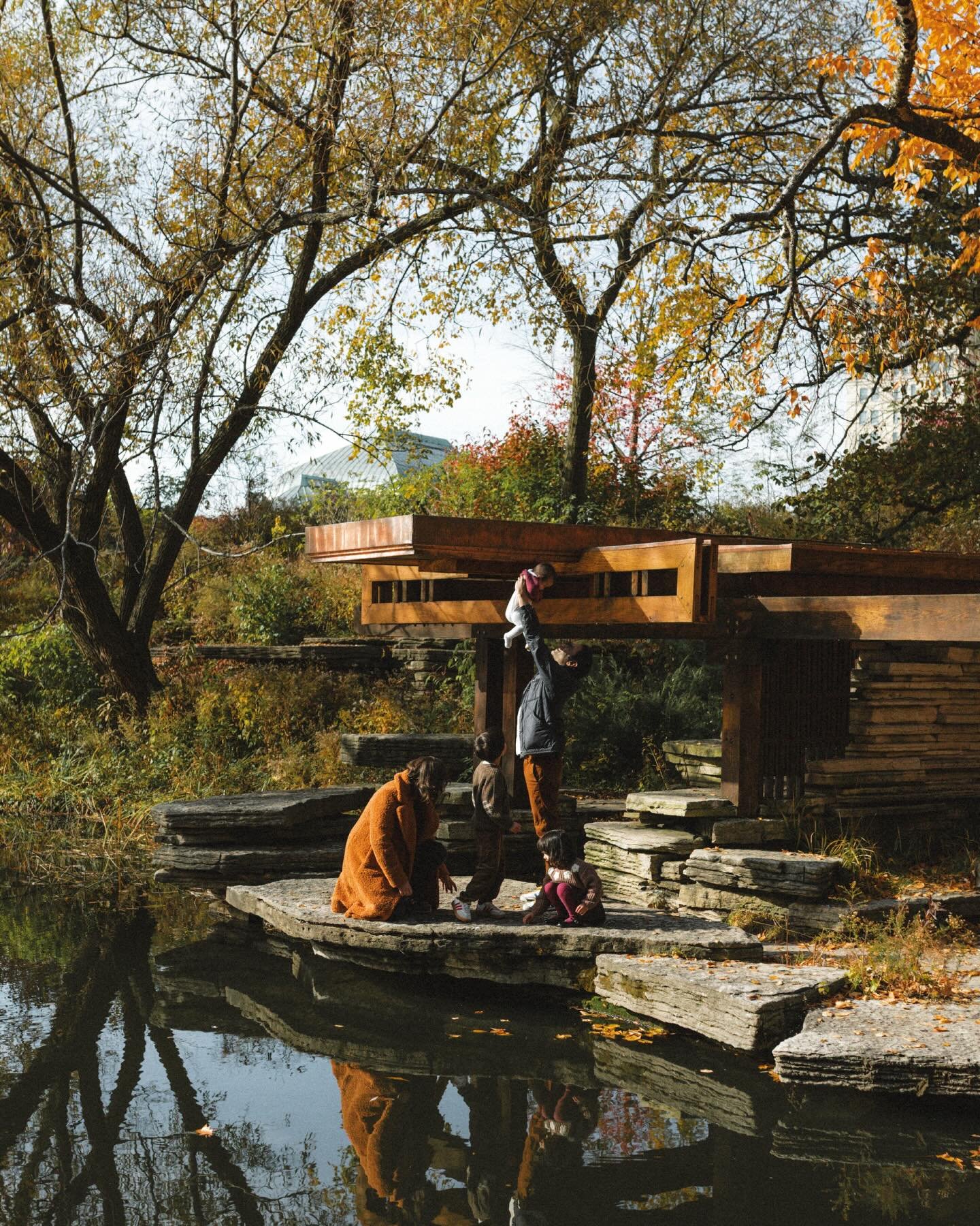 Another autumn afternoon with Julia, Amit, Roland, Ursula, and baby Persephone at the Alfred Caldwell Lily Pool. The trees and shrubs were glowing, the pond was calm, and the kids explored every corner, from leaf piles to the little prairie pavilion 