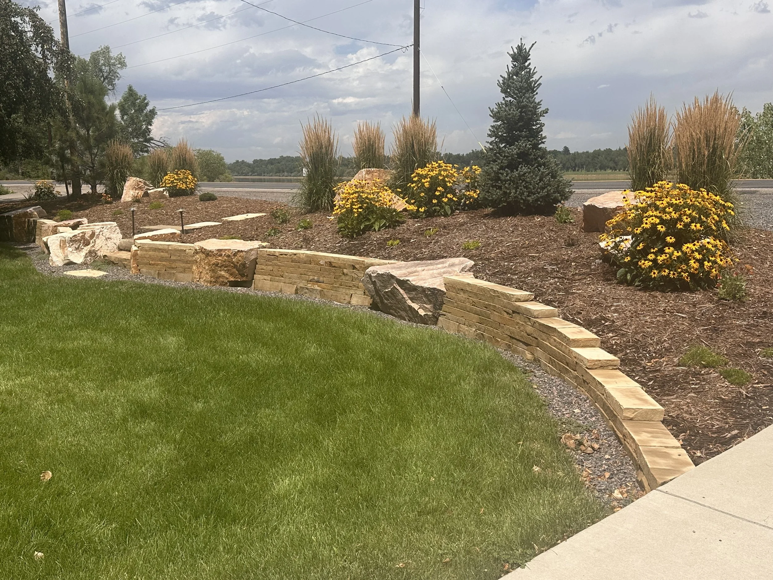 Landscape with a green lawn, a curved stone and brick retaining wall, yellow flowering plants, shrubs, and a tall evergreen tree, with a cloudy sky and power lines in the background.