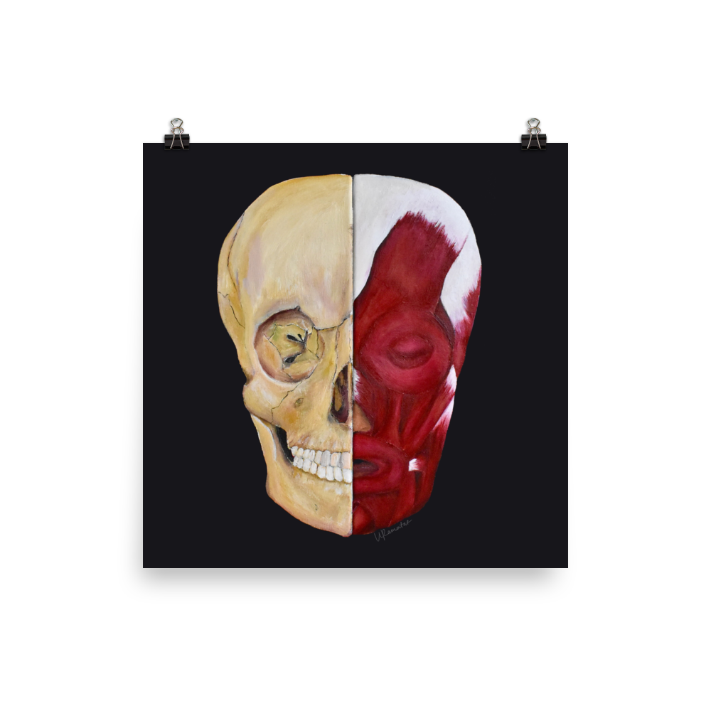 enhanced-matte-paper-poster-(in)-16x16-transparent-682f5624e0058.png