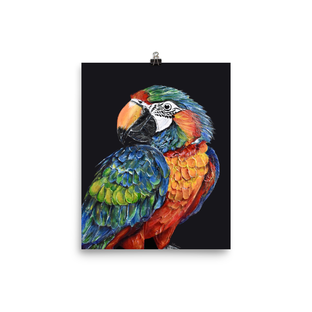 enhanced-matte-paper-poster-(in)-8x10-transparent-683730b17ceb9.png