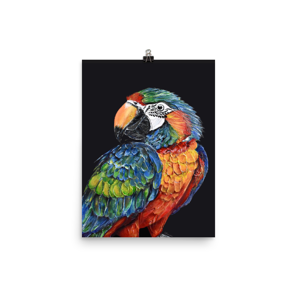 enhanced-matte-paper-poster-(in)-12x16-transparent-683730b17dbba.png