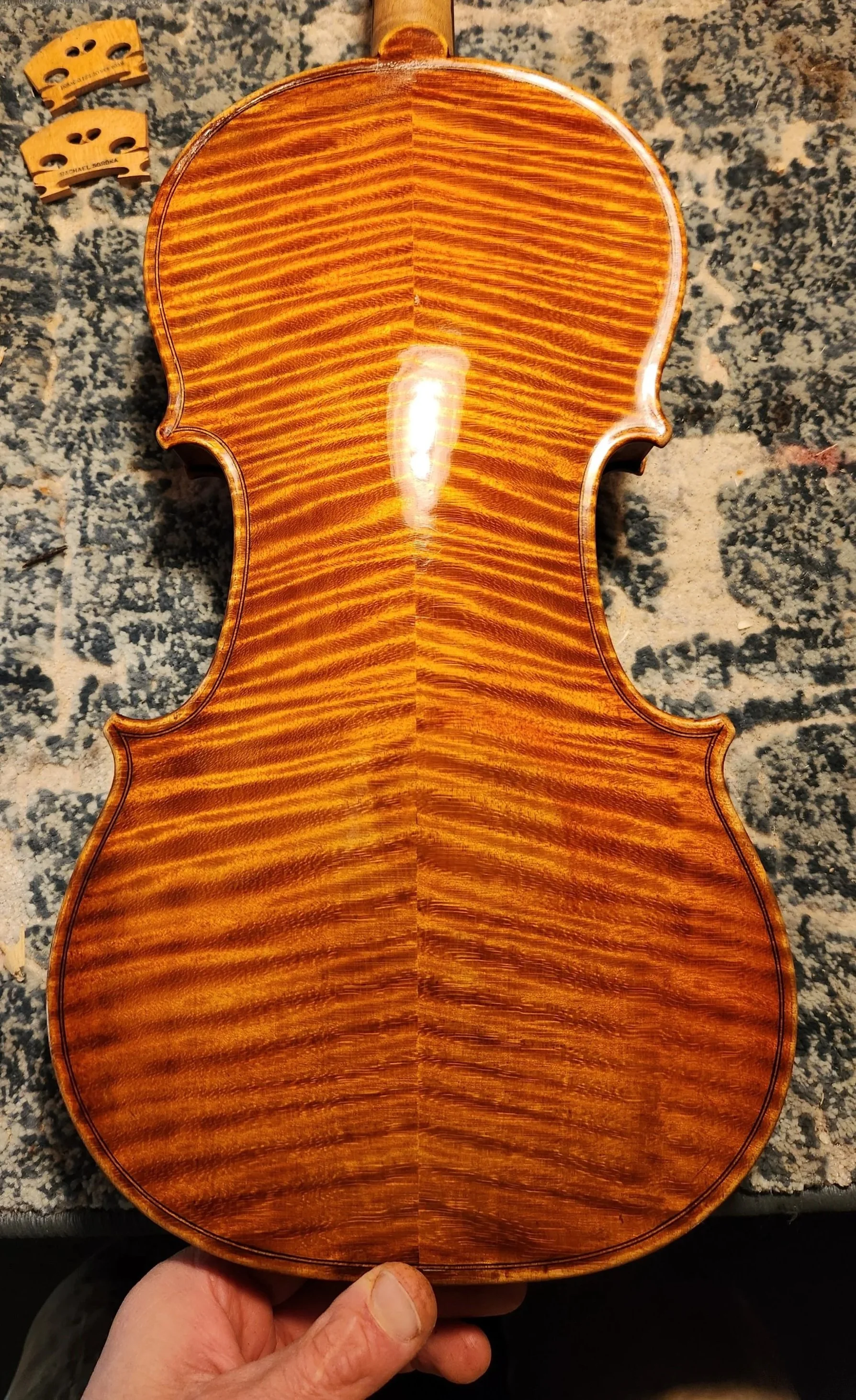 Soroka Violins is a luthier specializing in the repair, restoration & maintenance  of violin family instruments. Serving clients throughout Northern California, and locally in the Auburn, Placerville and Sacramento area.