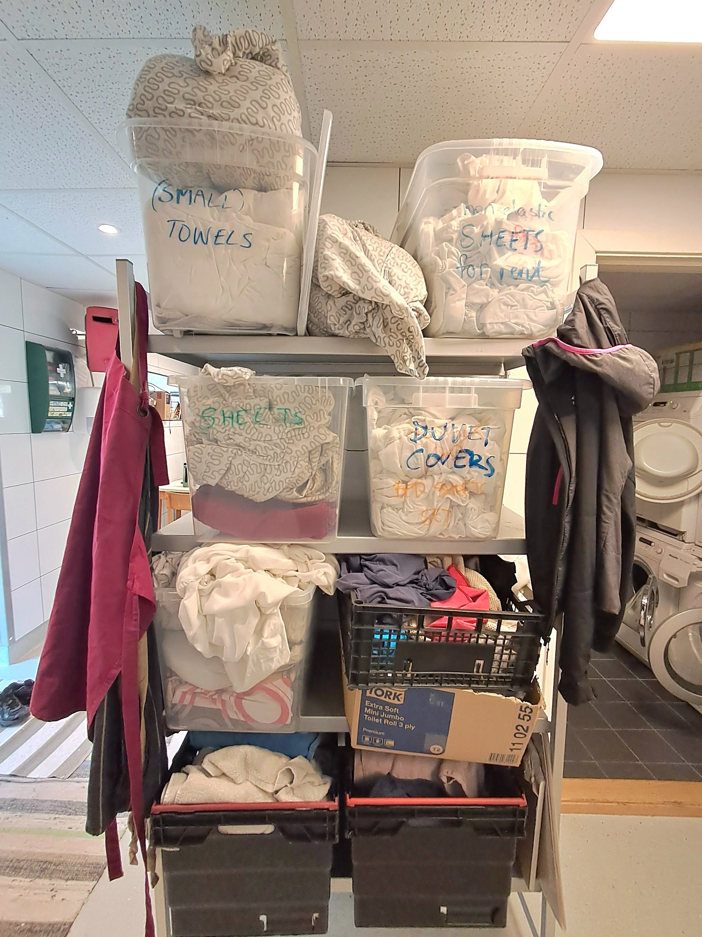 20260909_121910.jpg
