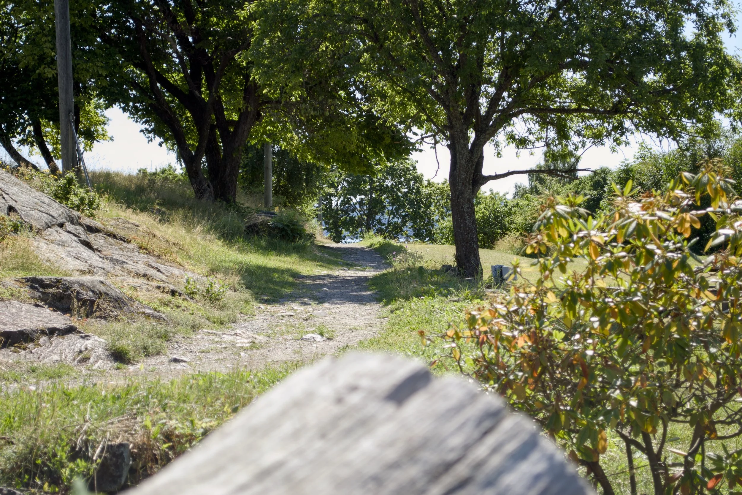 path.JPG