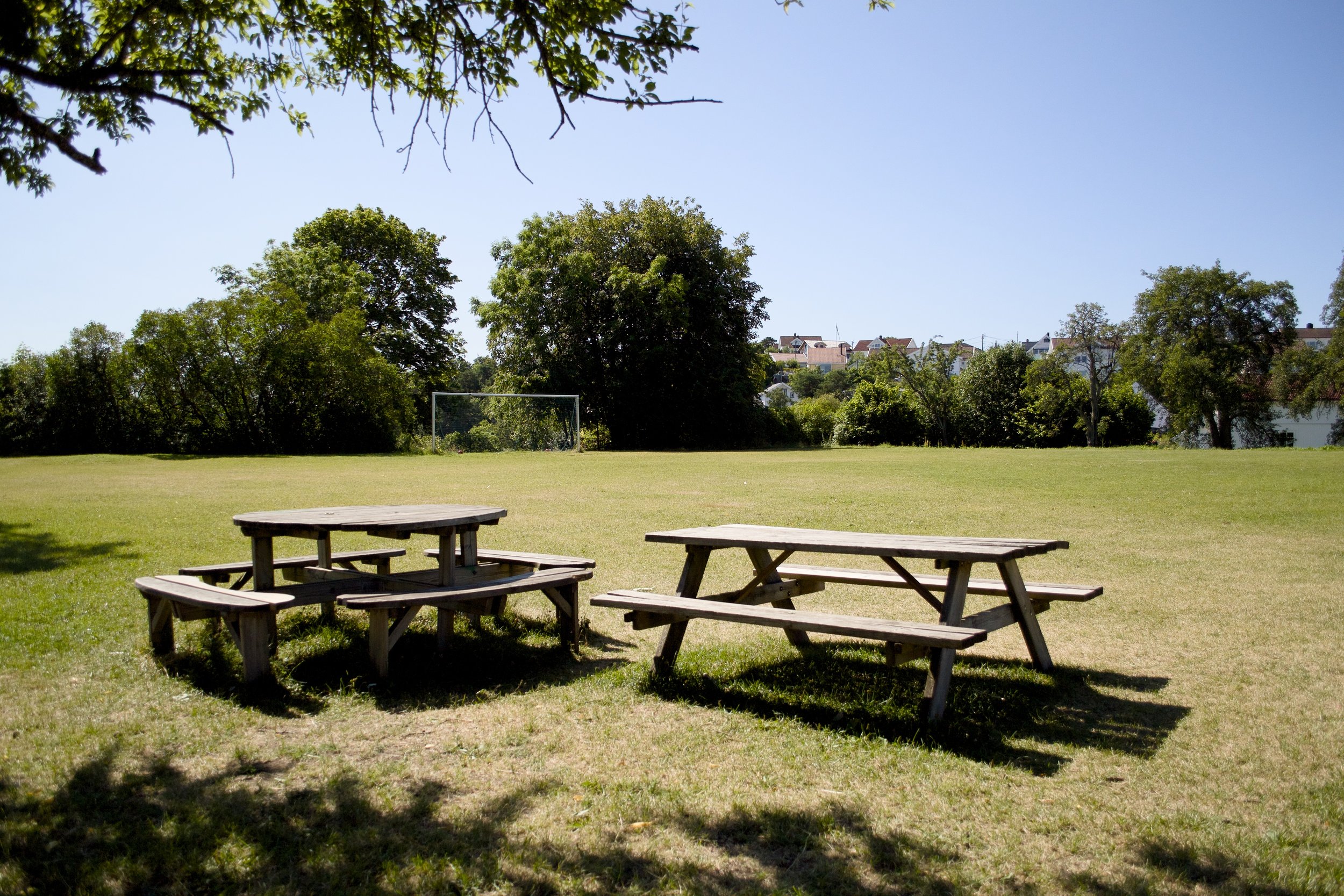 field w picnic bench.JPG