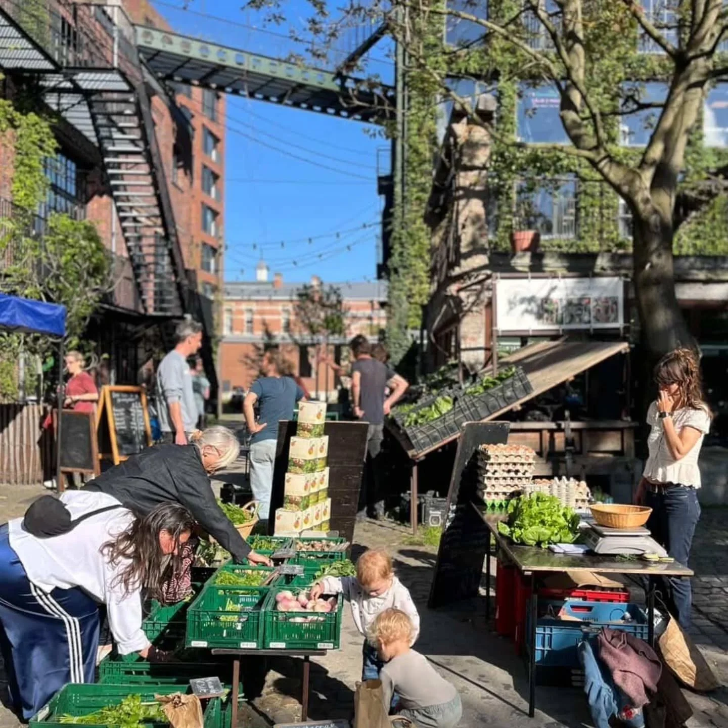 Boerenmarkt