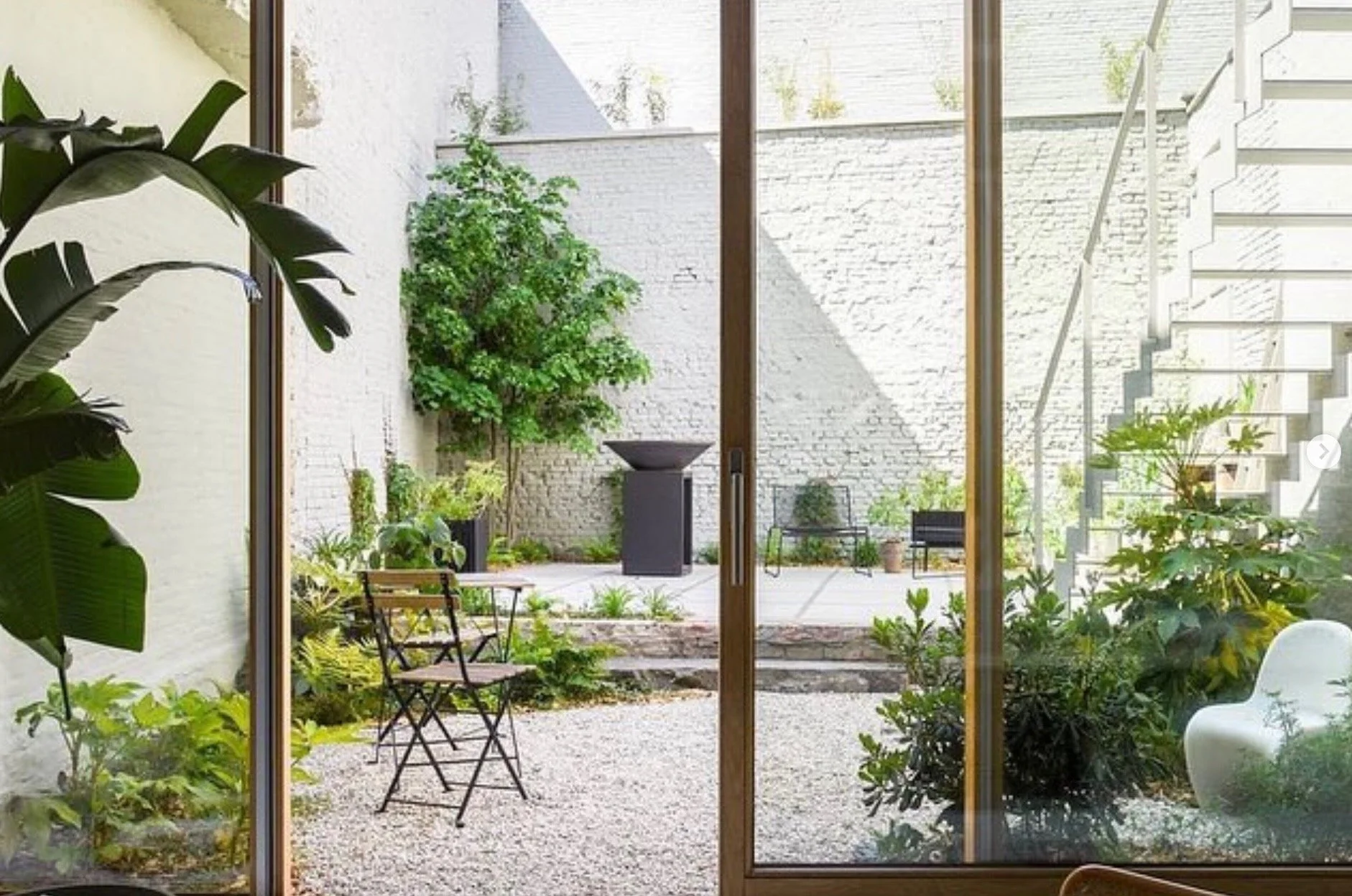 Urban Jungle - 1.jpeg